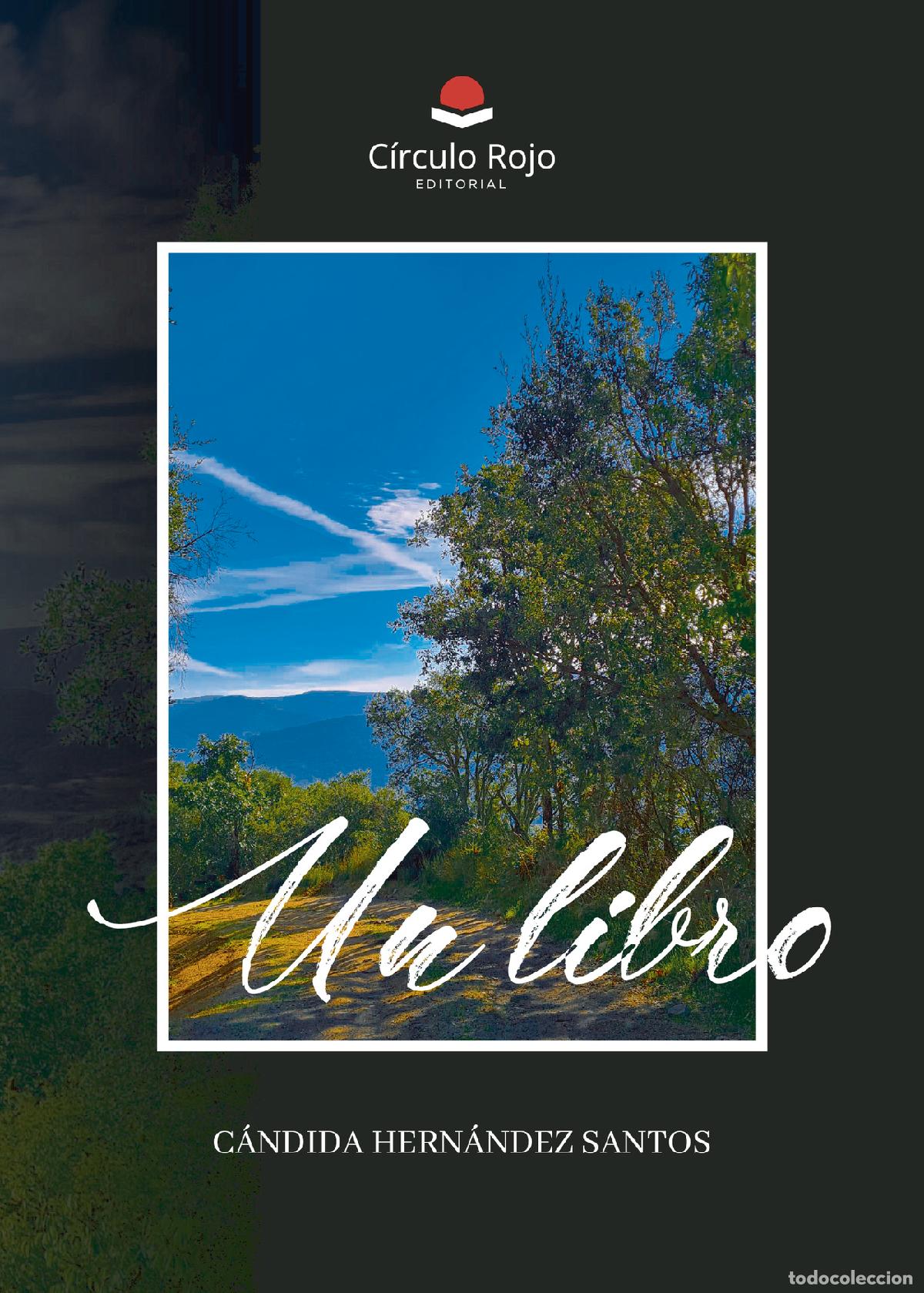 Libros: Un libro - C&aacute;ndida Hern&aacute;ndez Santos