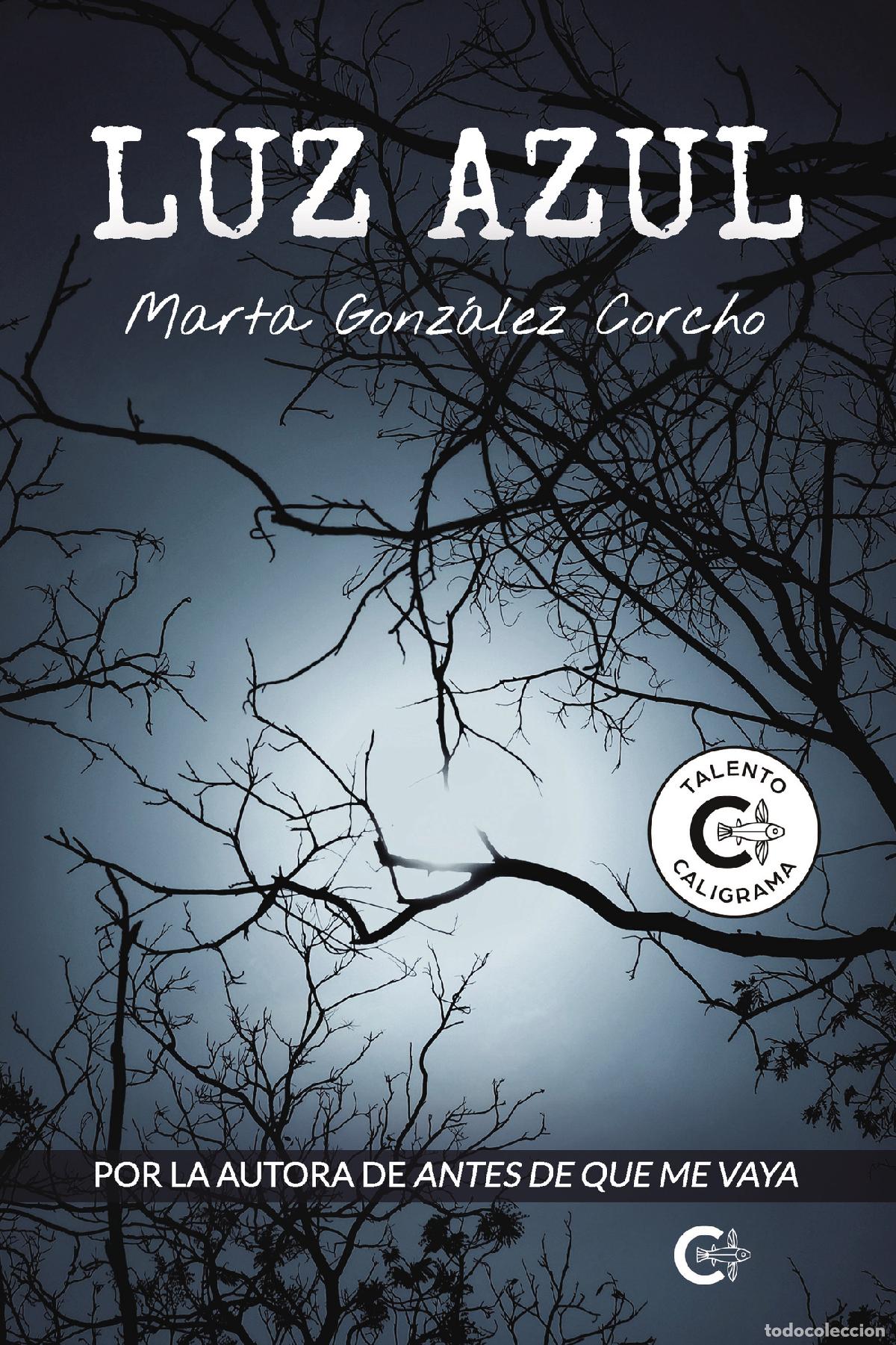 Libros: Luz azul - Marta Gonz&aacute;lez Corcho - Foto 1