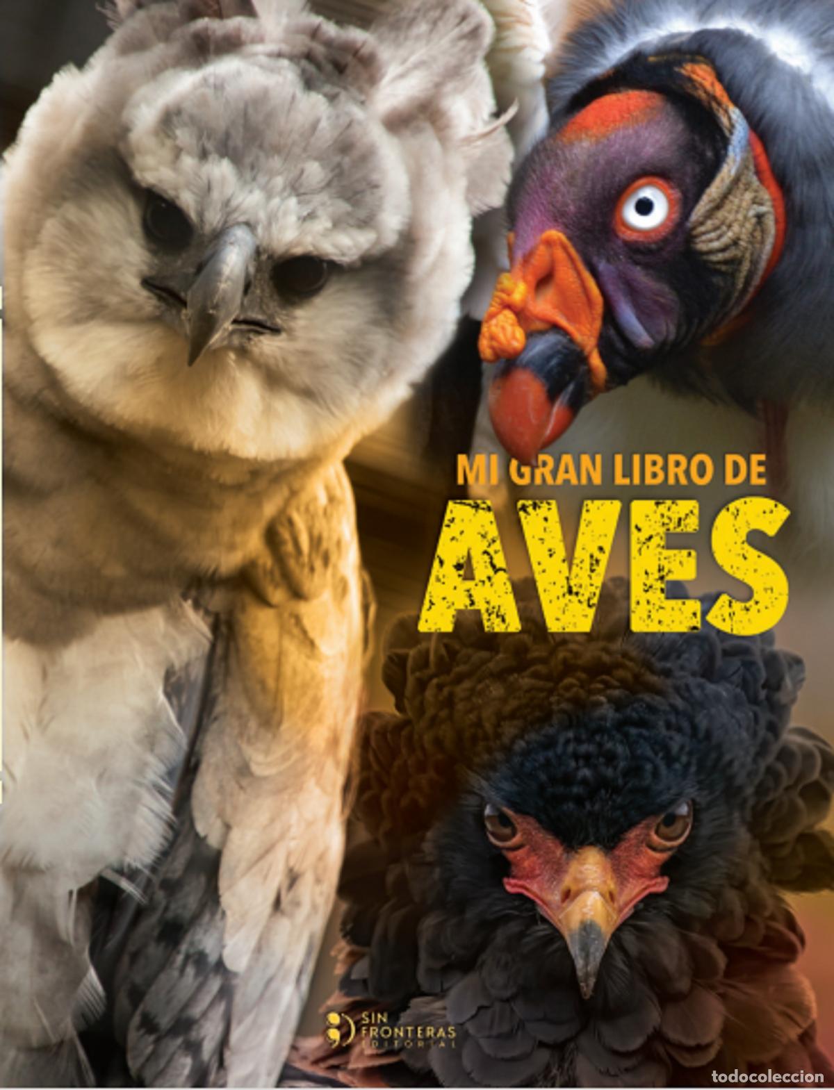 books: Mi gran libro de aves - Grupo editorial Sin Fronteras