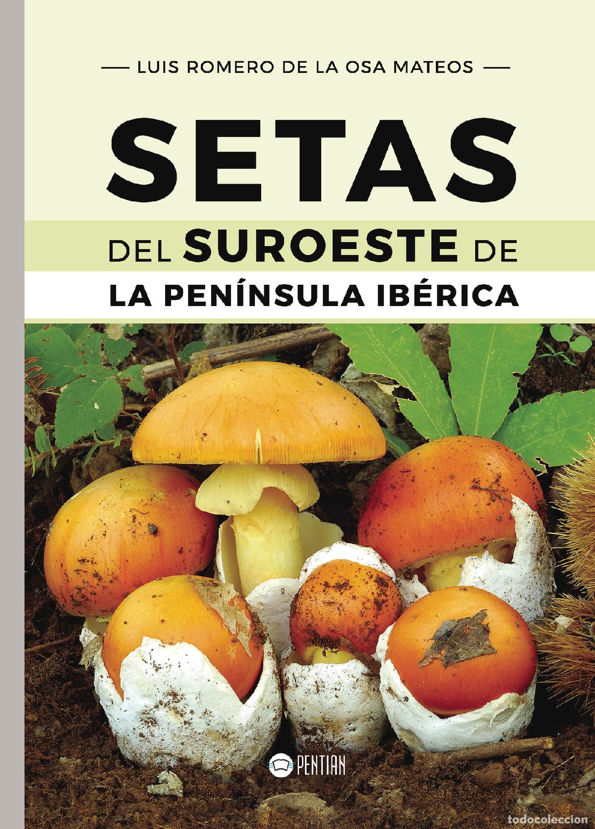 Libri: Setas del Suroeste de la Pen&iacute;nsula Ib&eacute;rica - Luis Romero de la Osa Mateos