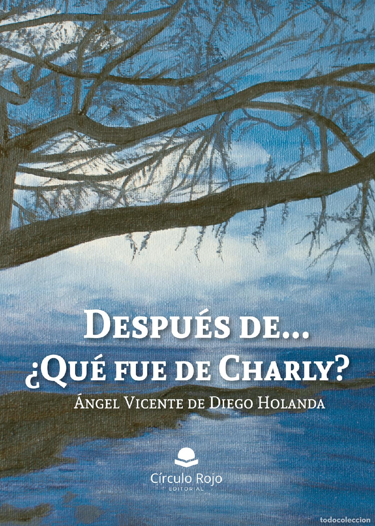 Libri: Despu&eacute;s de...&iquest;Qu&eacute; fue de Charly? - &Aacute;ngel Vicente de Diego Holanda