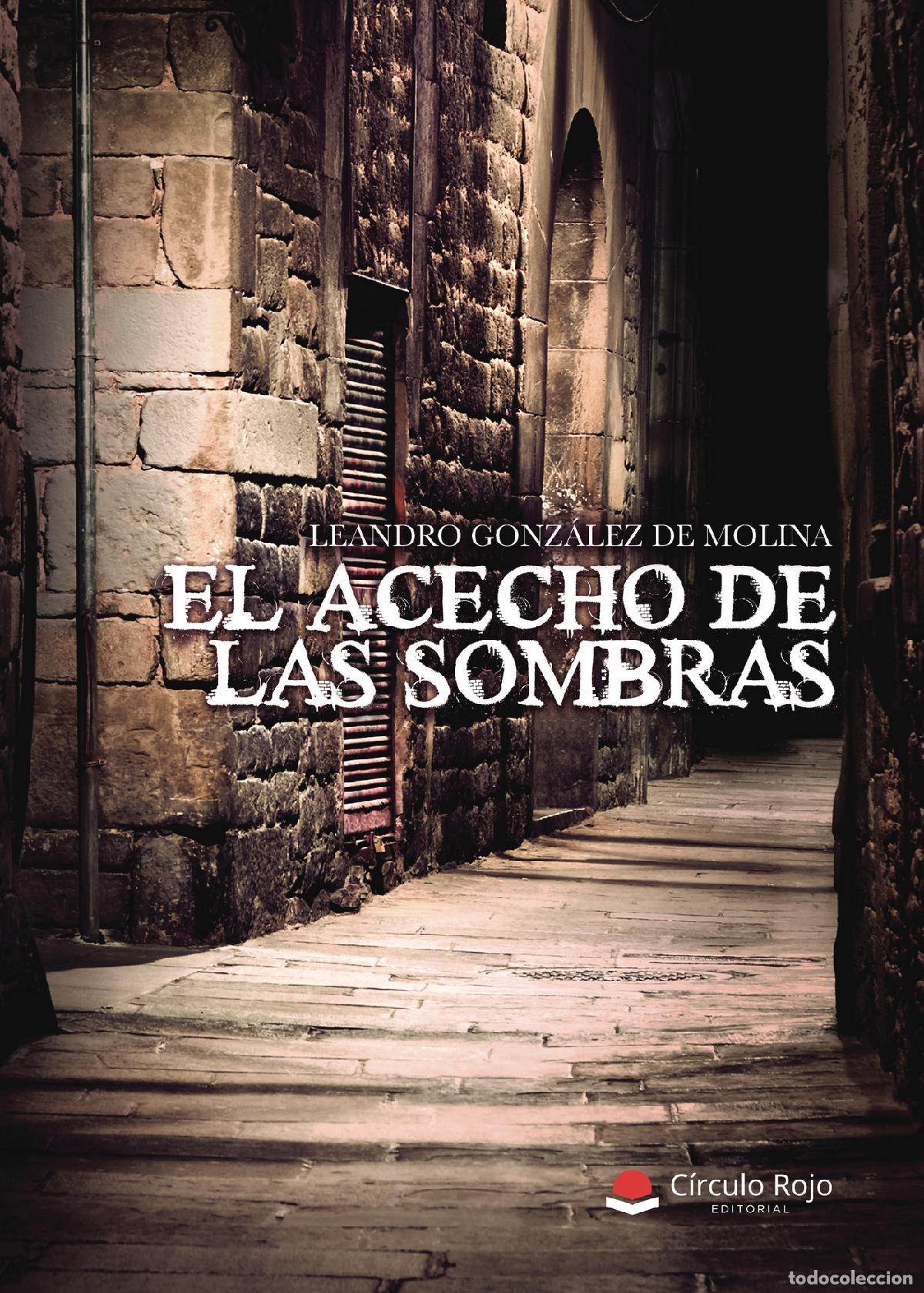 Libros: El acecho de las sombras - Leandro Gonz&aacute;lez de Molina - Foto 1