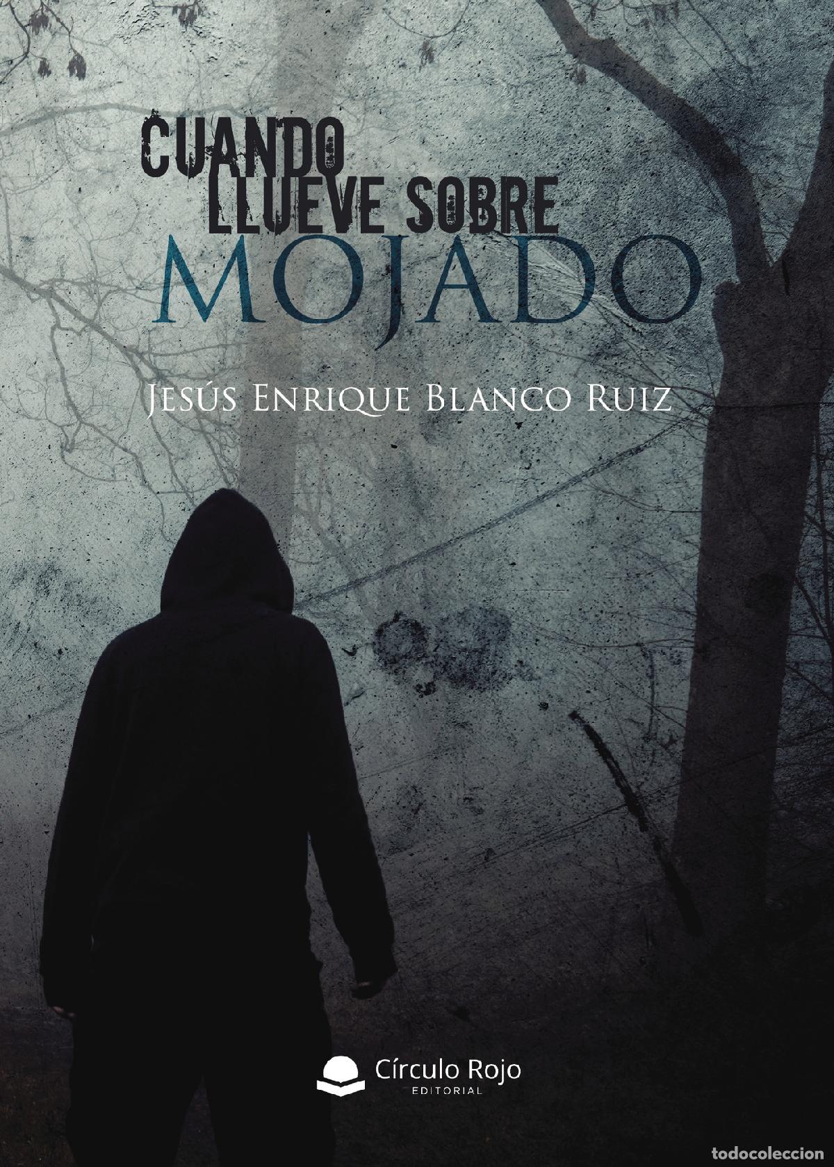 B&uuml;cher: Cuando llueve sobre mojado - Jes&uacute;s Enrique Blanco Ruiz