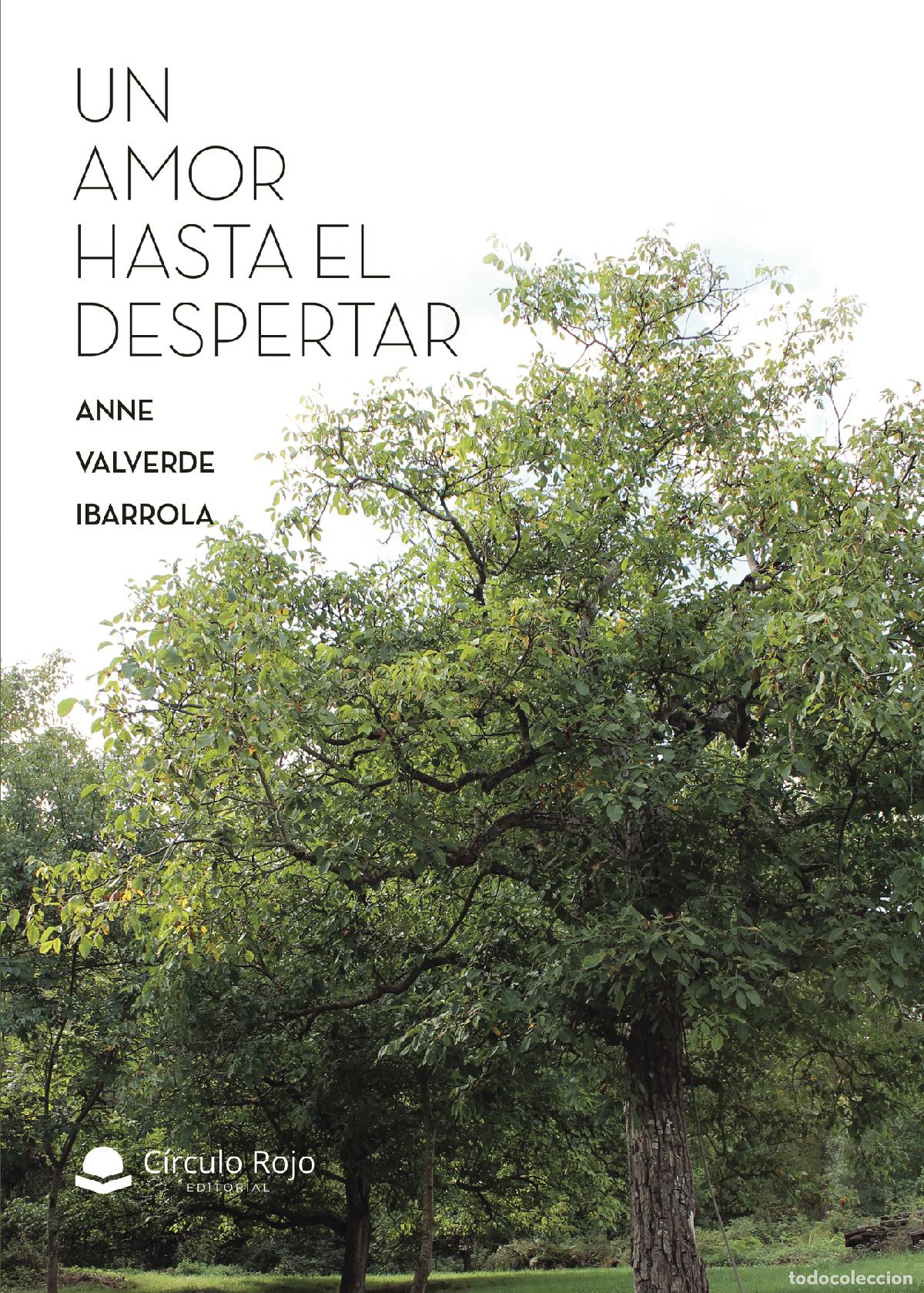 B&uuml;cher: Un amor hasta el despertar - Anne Valverde Ibarrola