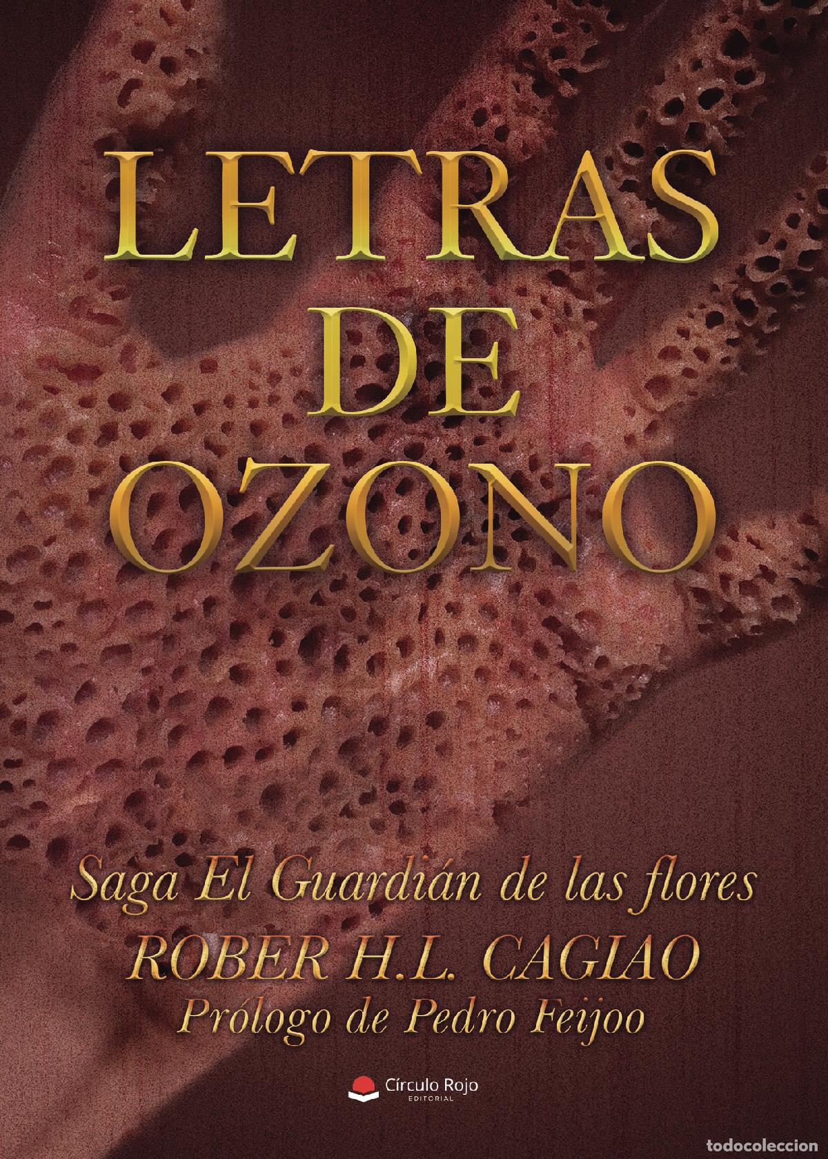 Libros: Letras de Ozono - Rober H.L. Cagiao - Foto 1