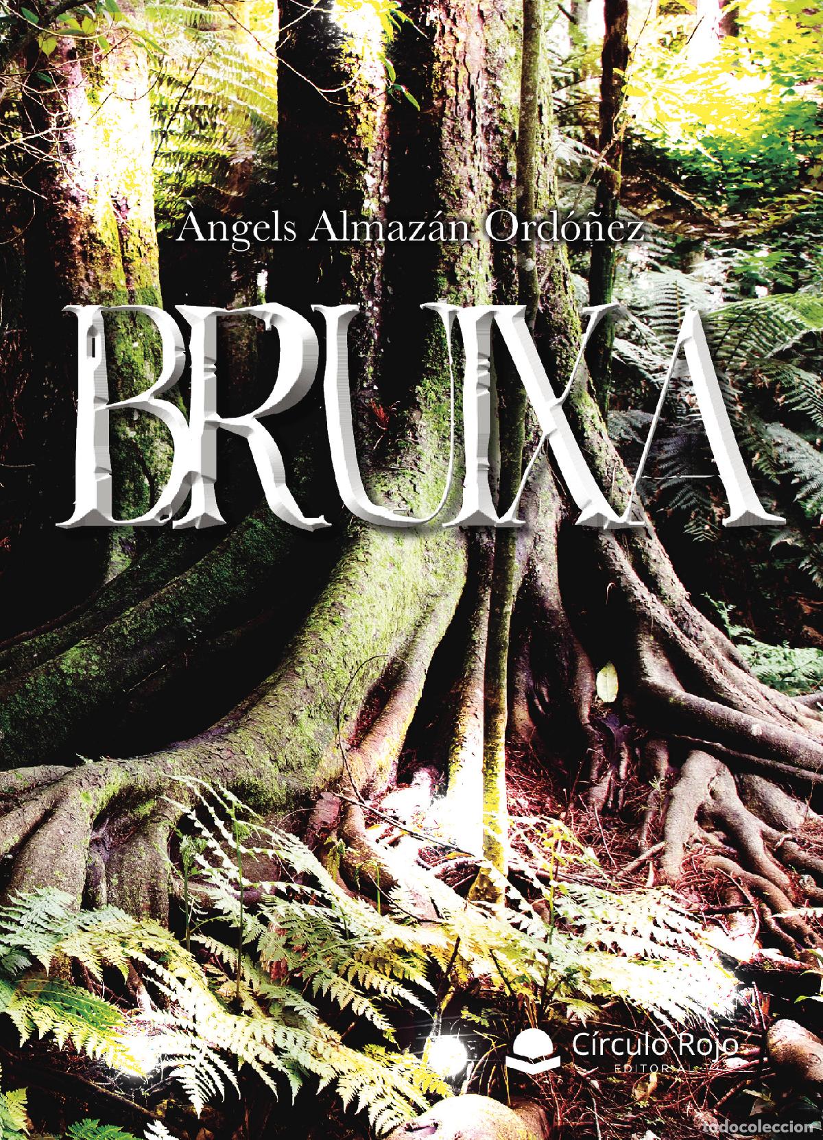Libros: Bruixa - &Agrave;ngels Almaz&aacute;n Ord&oacute;&ntilde;ez - Foto 1