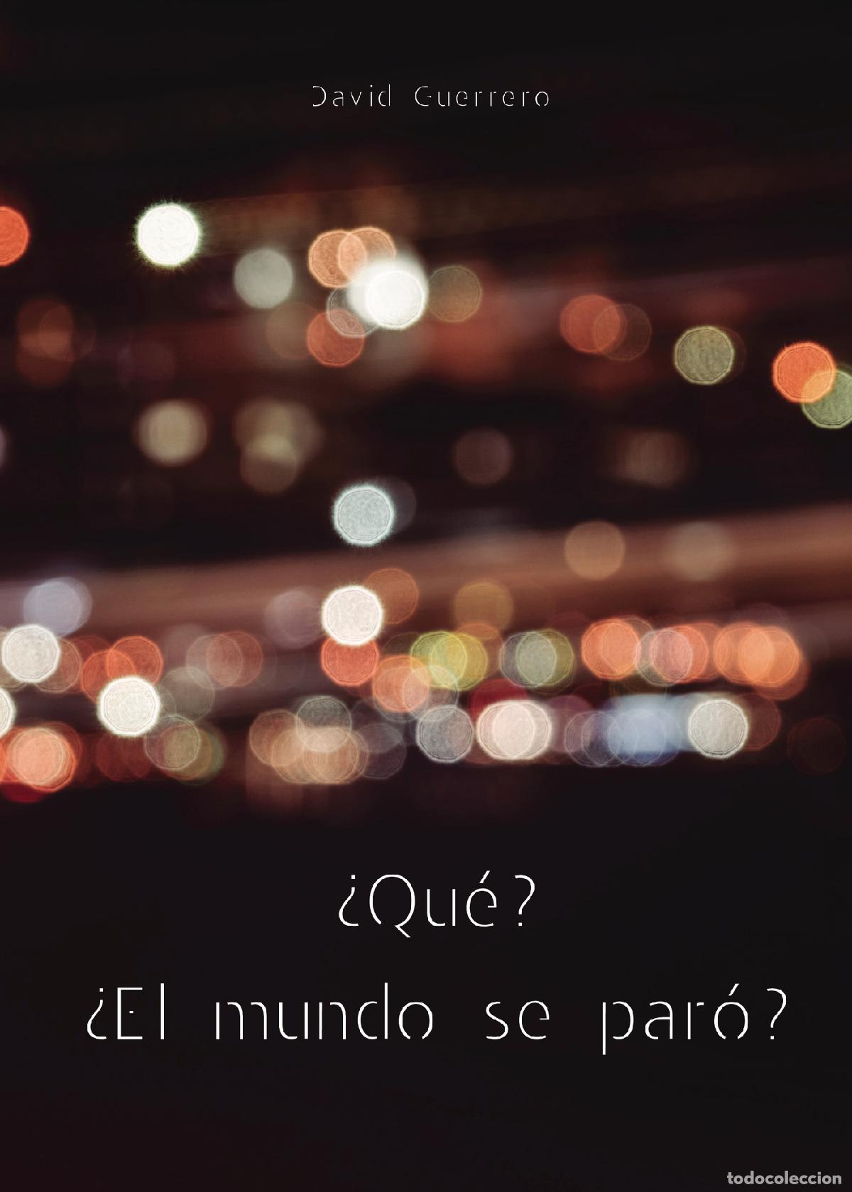 Libros: &iquest;Qu&eacute;? &iquest;El mundo se par&oacute;? - David Guerrero - Foto 1