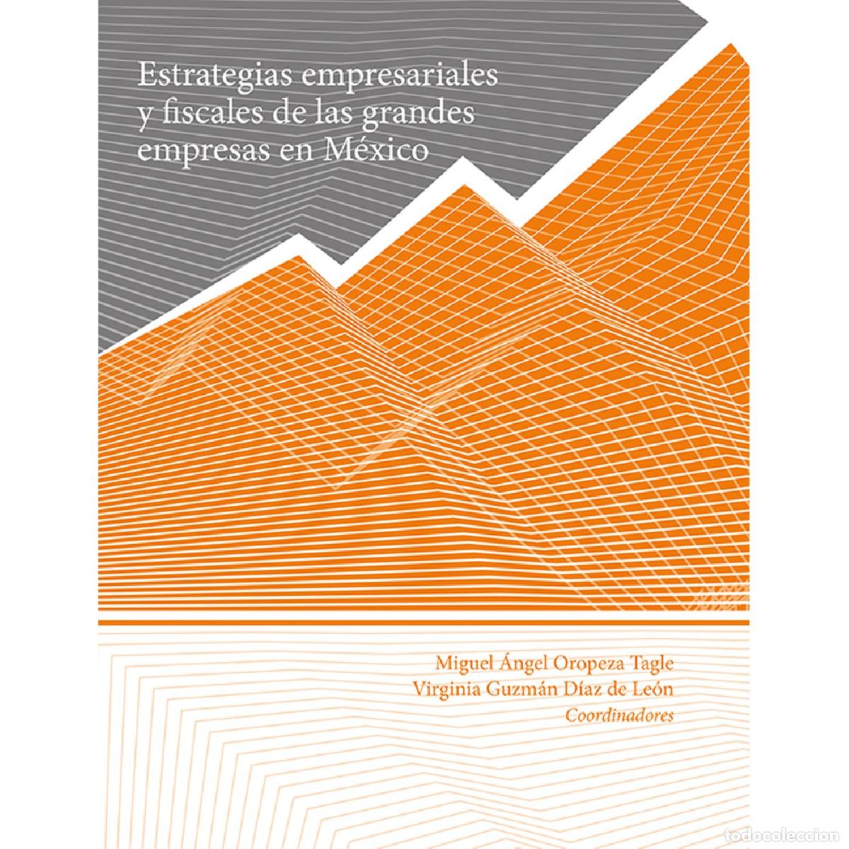 books: Estrategias empresariales y fiscales de las grandes empresas en M&eacute;xico - Virginia Guzm&aacute;n D&iacute;az de Le&oacute;