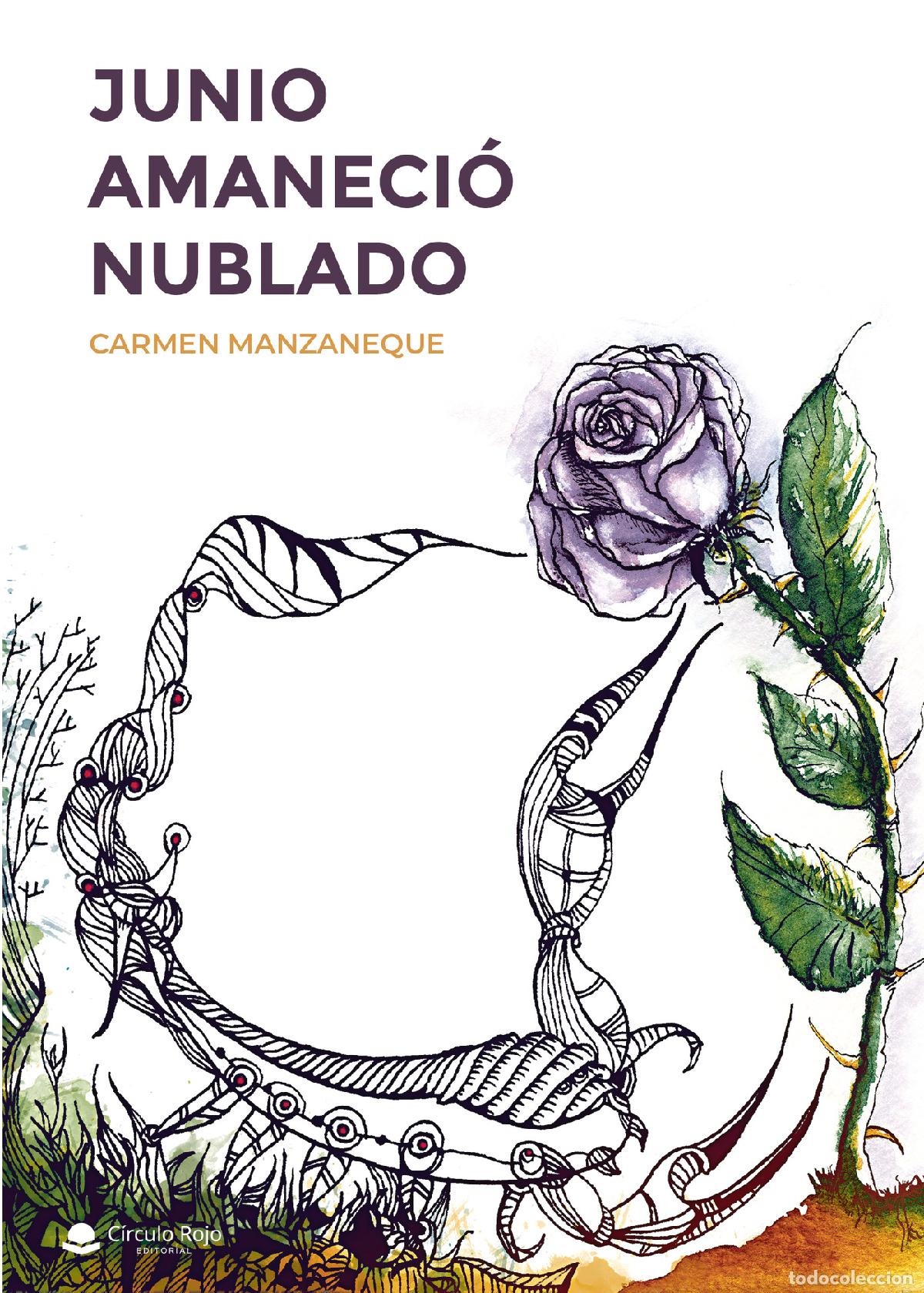 Libros: Junio amaneci&oacute; nublado - Carmen Manzaneque - Foto 1
