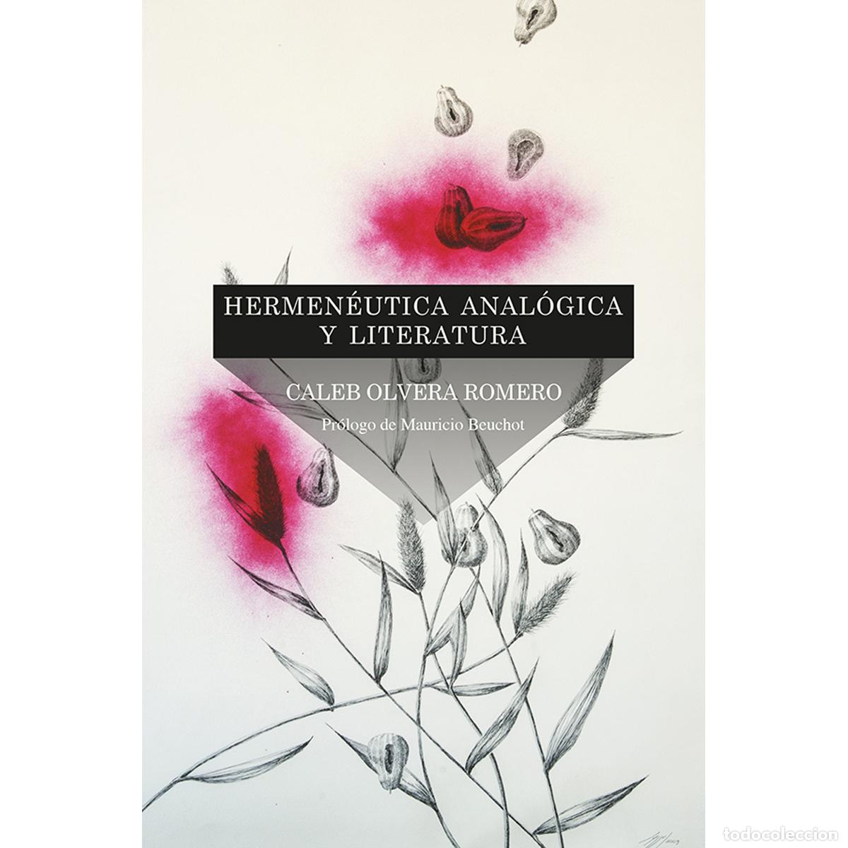 Livres: Hermen&eacute;utica anal&oacute;gica y literatura - Caleb Olvera Romero