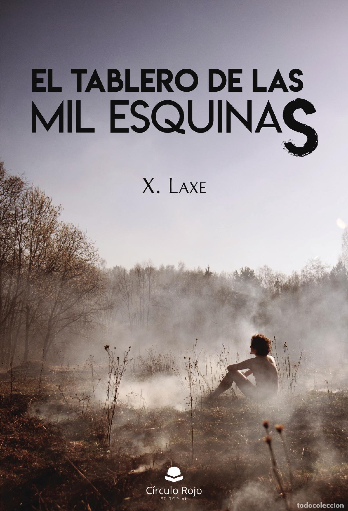 Libros: El tablero de las mil esquinas - X. Laxe - Foto 1