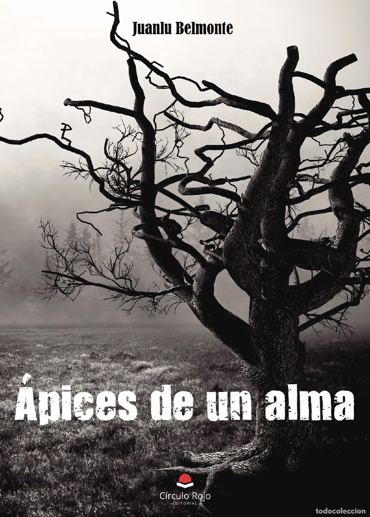 Libros: &Aacute;pices de un alma - Juanlu Belmonte - Foto 1
