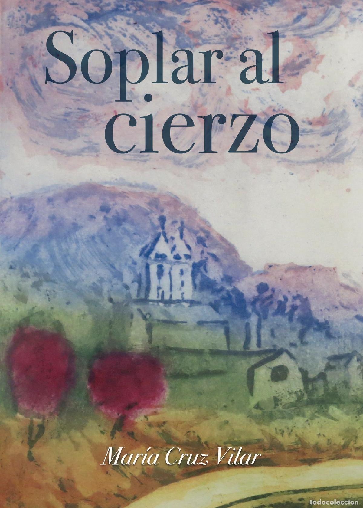 Libros: SOPLAR AL CIERZO - Mar&iacute;a Cruz Vilar - Foto 1