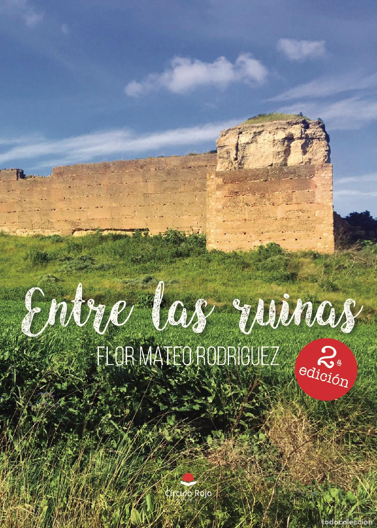 Libros: Entre las ruinas - Flor Mateo Rodr&iacute;guez - Foto 1