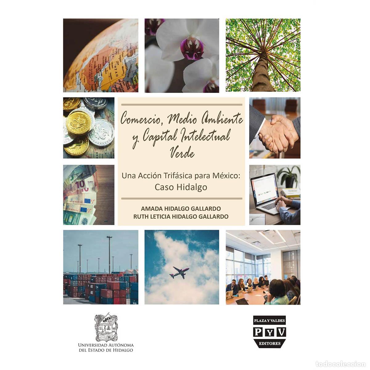 Libros: Comercio, medio ambiente y capital intelectual verde - Amada Hidalgo Gallardo