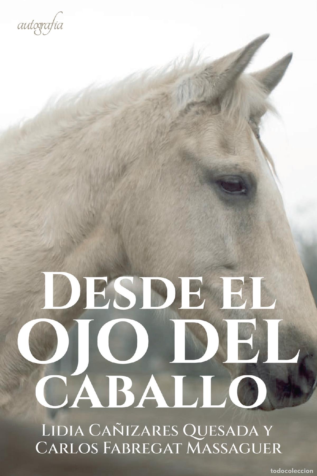 Livres: Desde el ojo del caballo - Lidia Ca&ntilde;izares Quesada