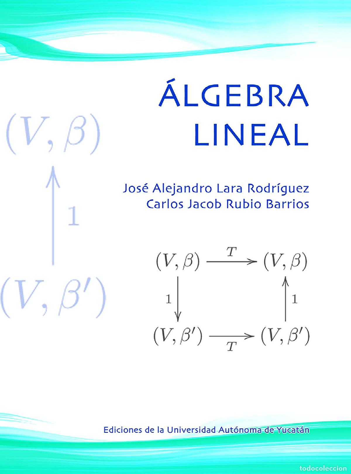 Libros: &Aacute;lgebra lineal - Jos&eacute; Alejandro Lara Rodr&iacute;guez - Foto 1
