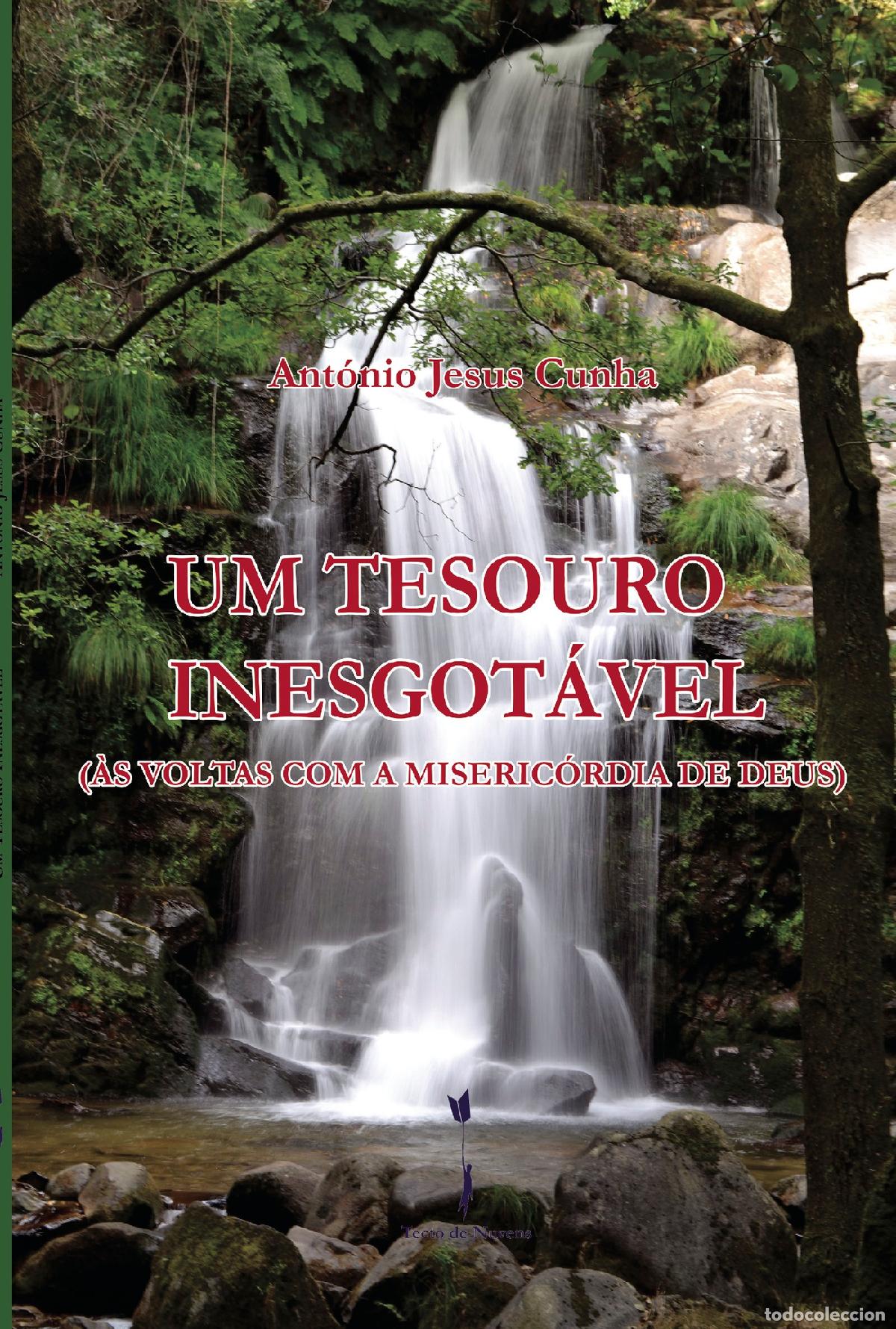 B&uuml;cher: Um Tesouro Inesgot&aacute;vel - (&Agrave;s voltas com a Miseric&oacute;rdia de Deus) - Ant&oacute;nio Jesus Cunha