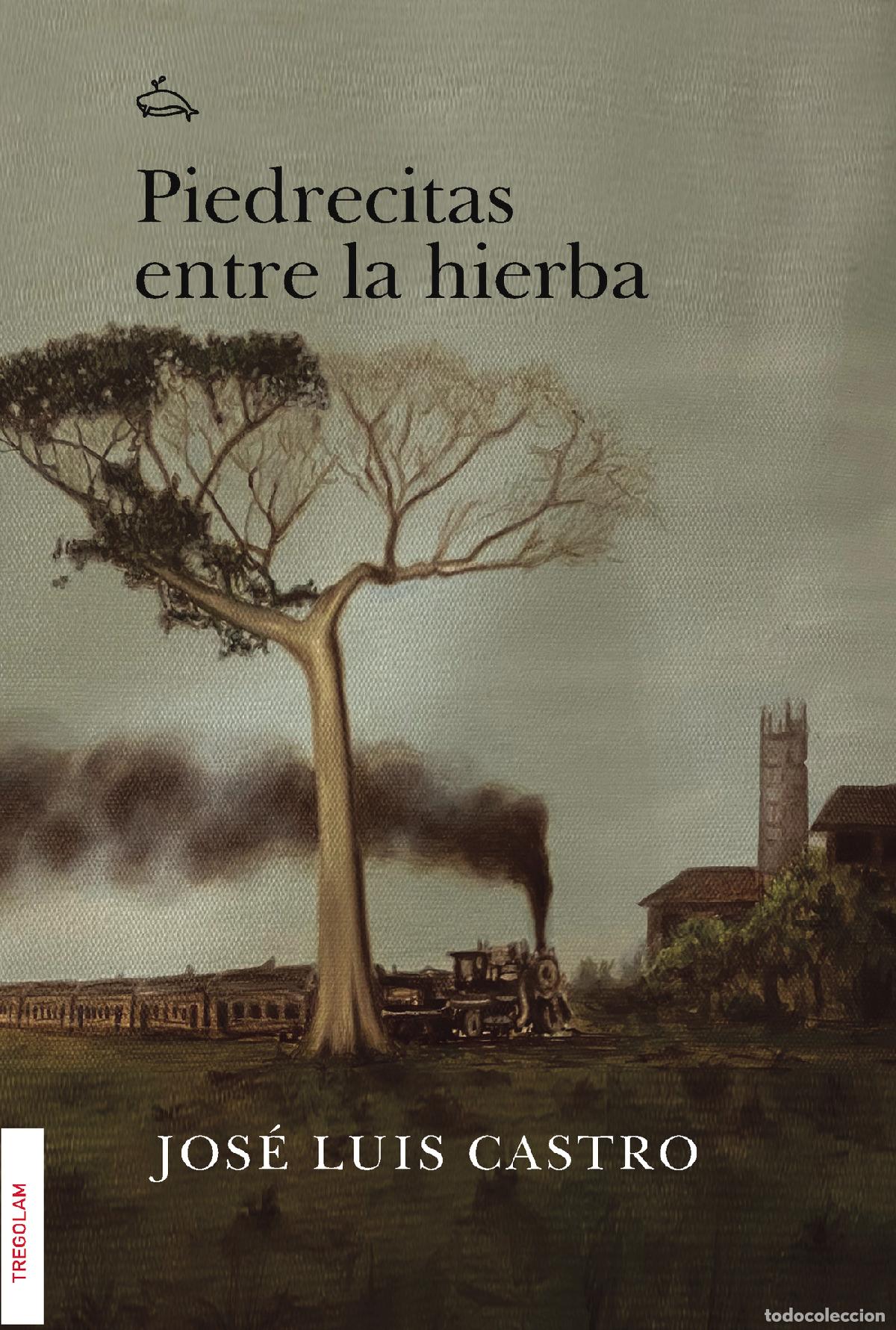Livros: Piedrecitas entre la hierba - Jos&eacute; Luis Castro