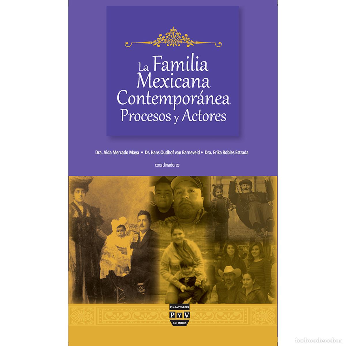 B&uuml;cher: La familia mexicana contempor&aacute;nea - Procesos y actores - Aida Mercado Maya