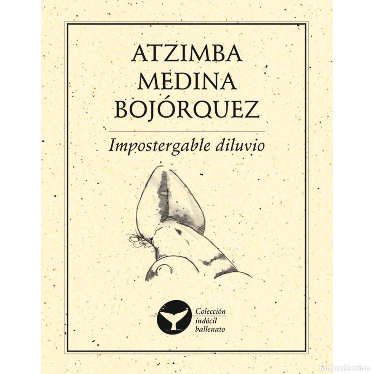 Livres: Impostergable diluvio - Atzimba Medina