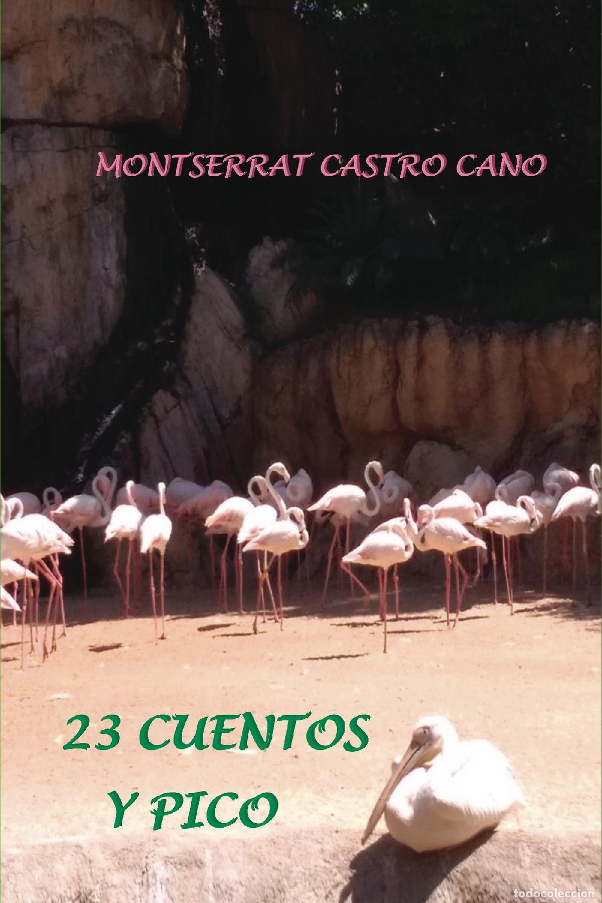 books: 23 Cuentos y pico - MONTSERRAT CASTRO CANO