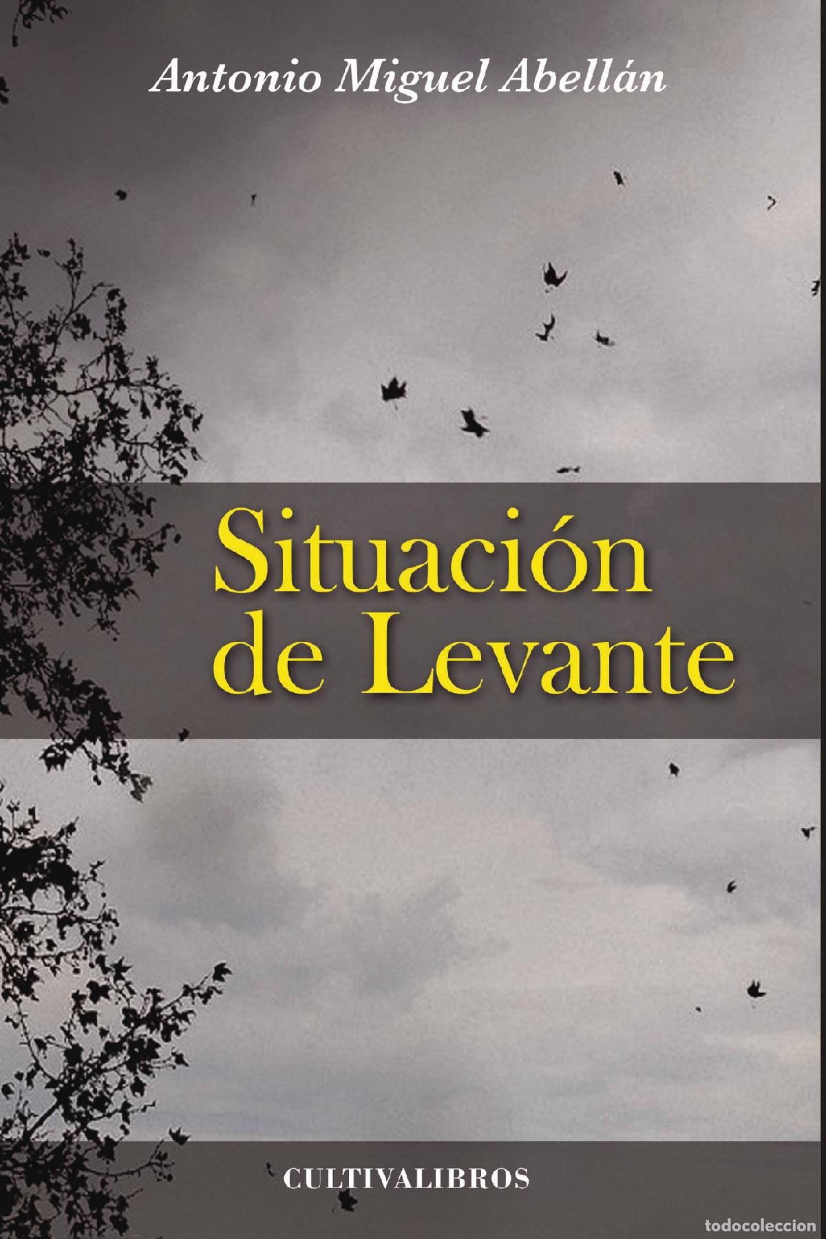 books: Situaci&oacute;n de Levante - Antonio Miguel Abell&aacute;n