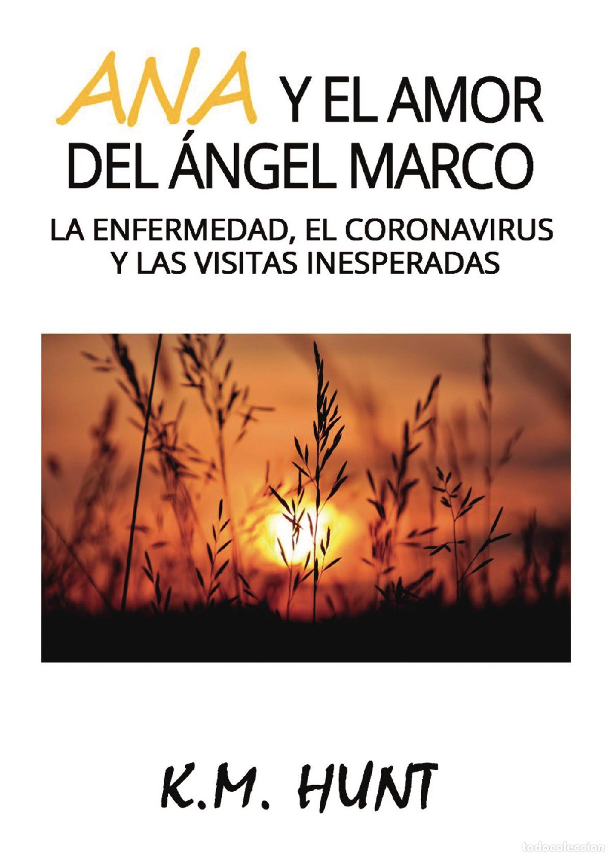 Libros: Ana y el amor del &Aacute;ngel Marco - KM. Hunt - Foto 1