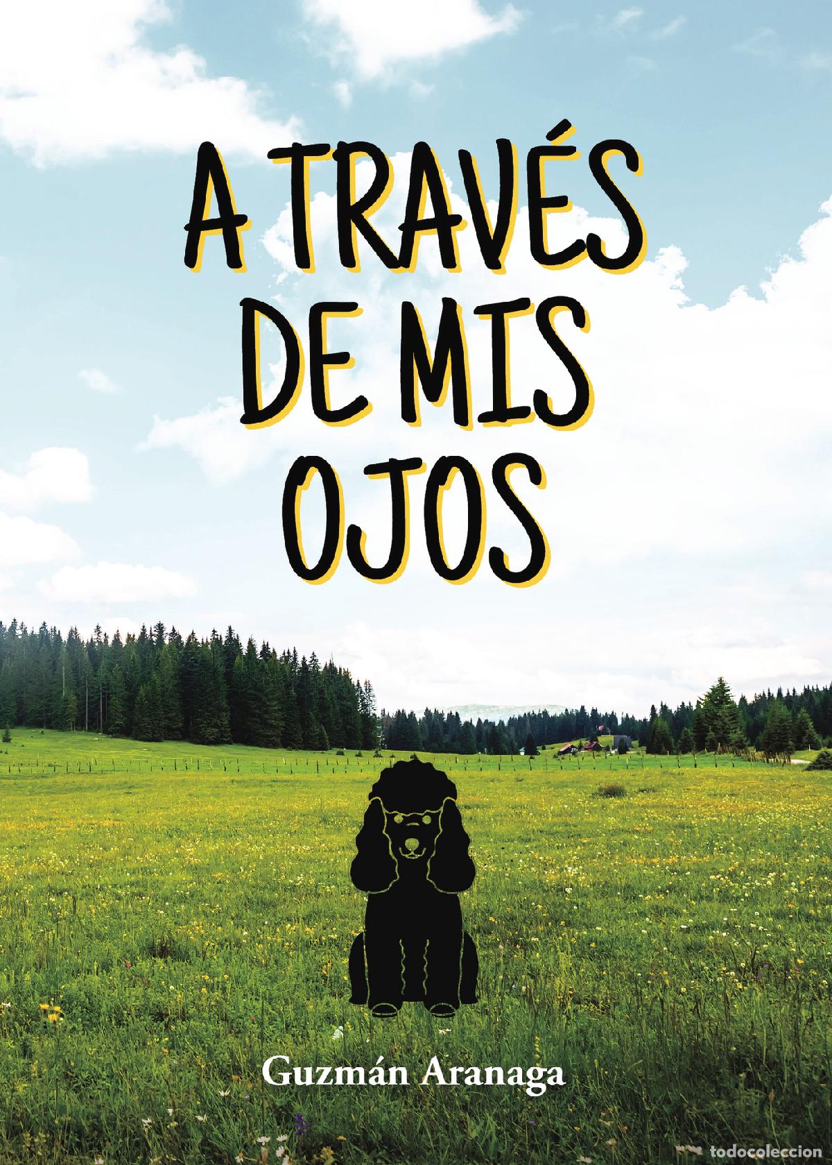 books: A trav&eacute;s de mis ojos - Guzm&aacute;n Aranaga