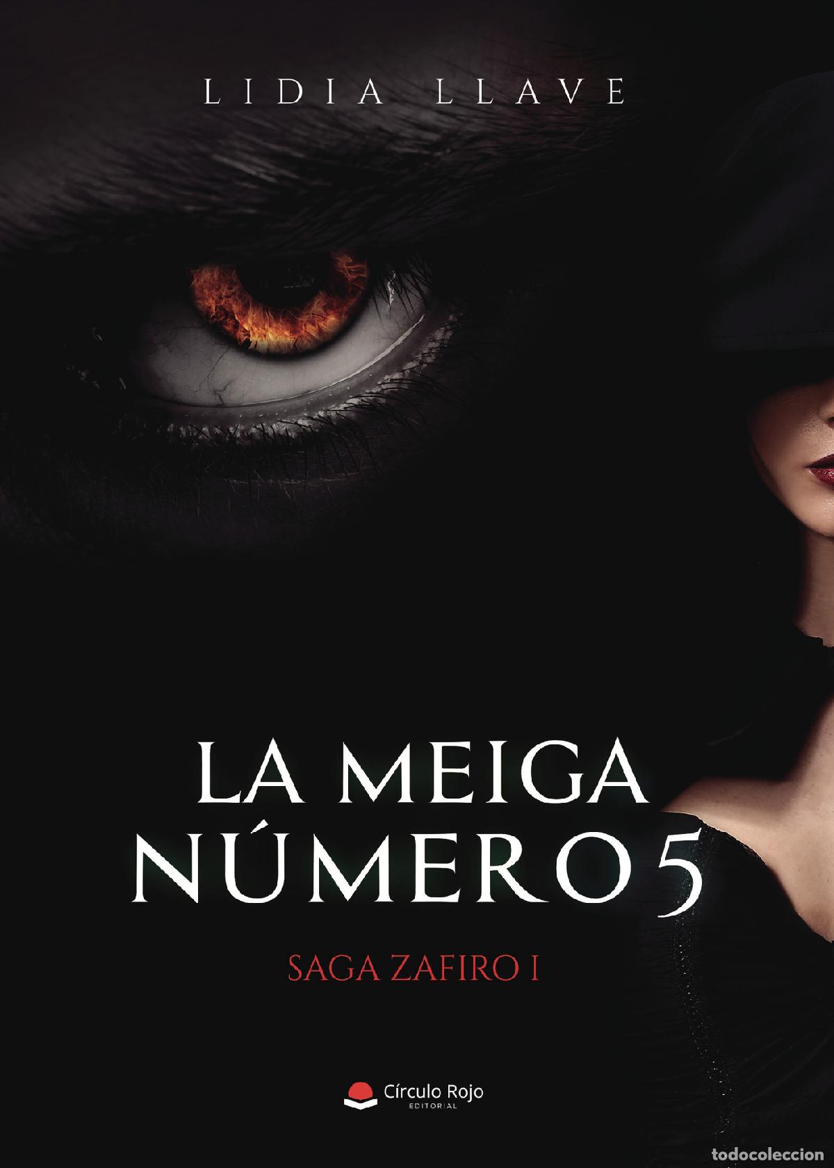 Libri: La meiga n&uacute;mero cinco - Lidia Llave