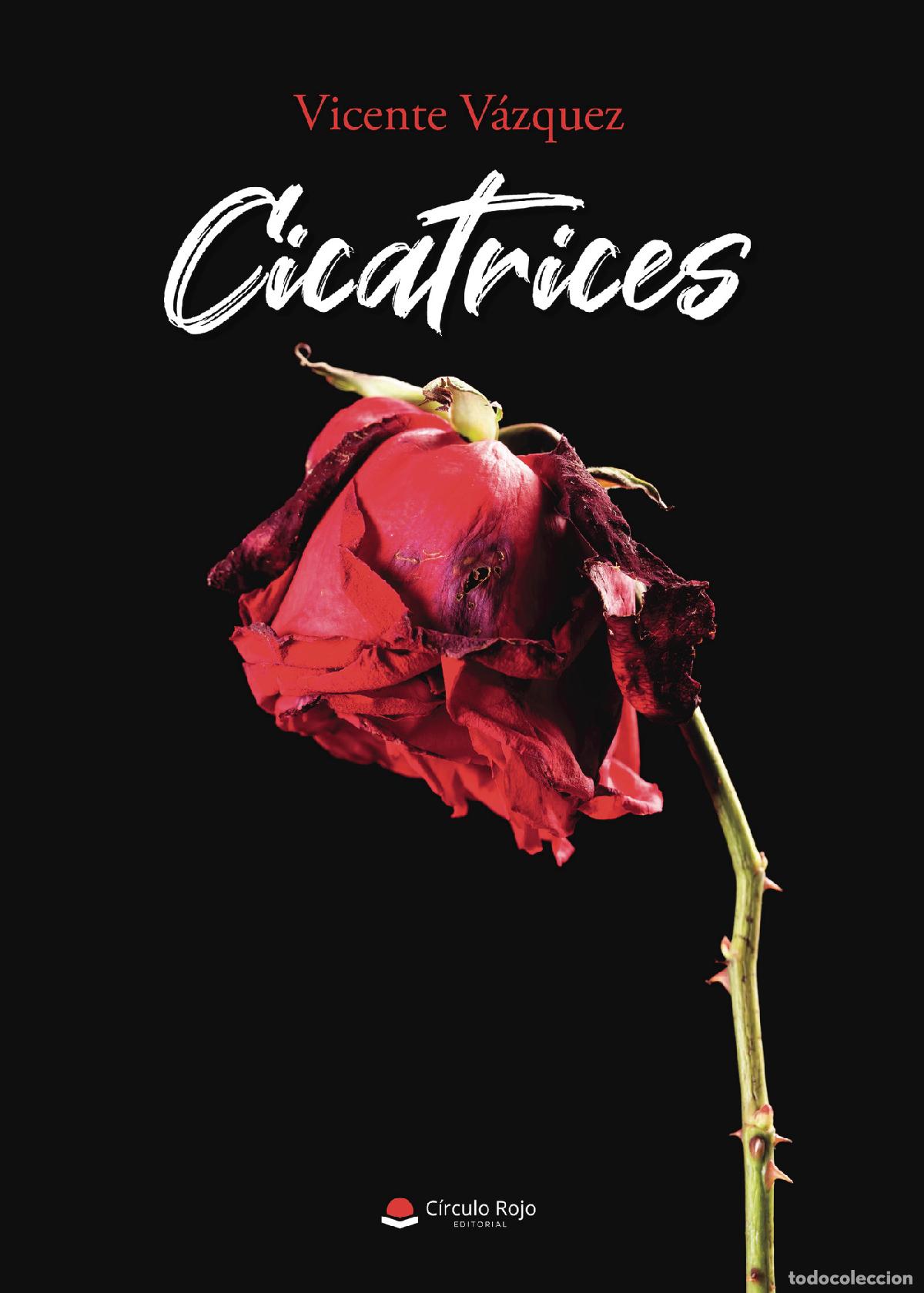 Libros: Cicatrices - Vicente V&aacute;zquez - Foto 1