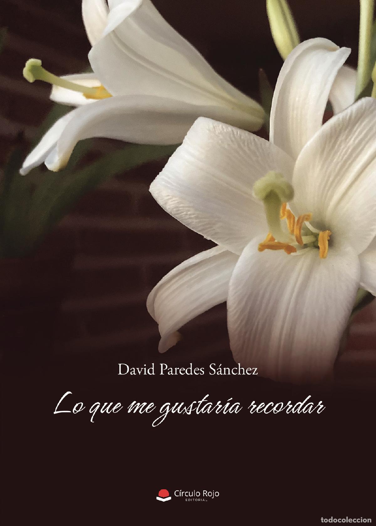 Livros: Lo que me gustar&iacute;a recordar - David Paredes S&aacute;nchez