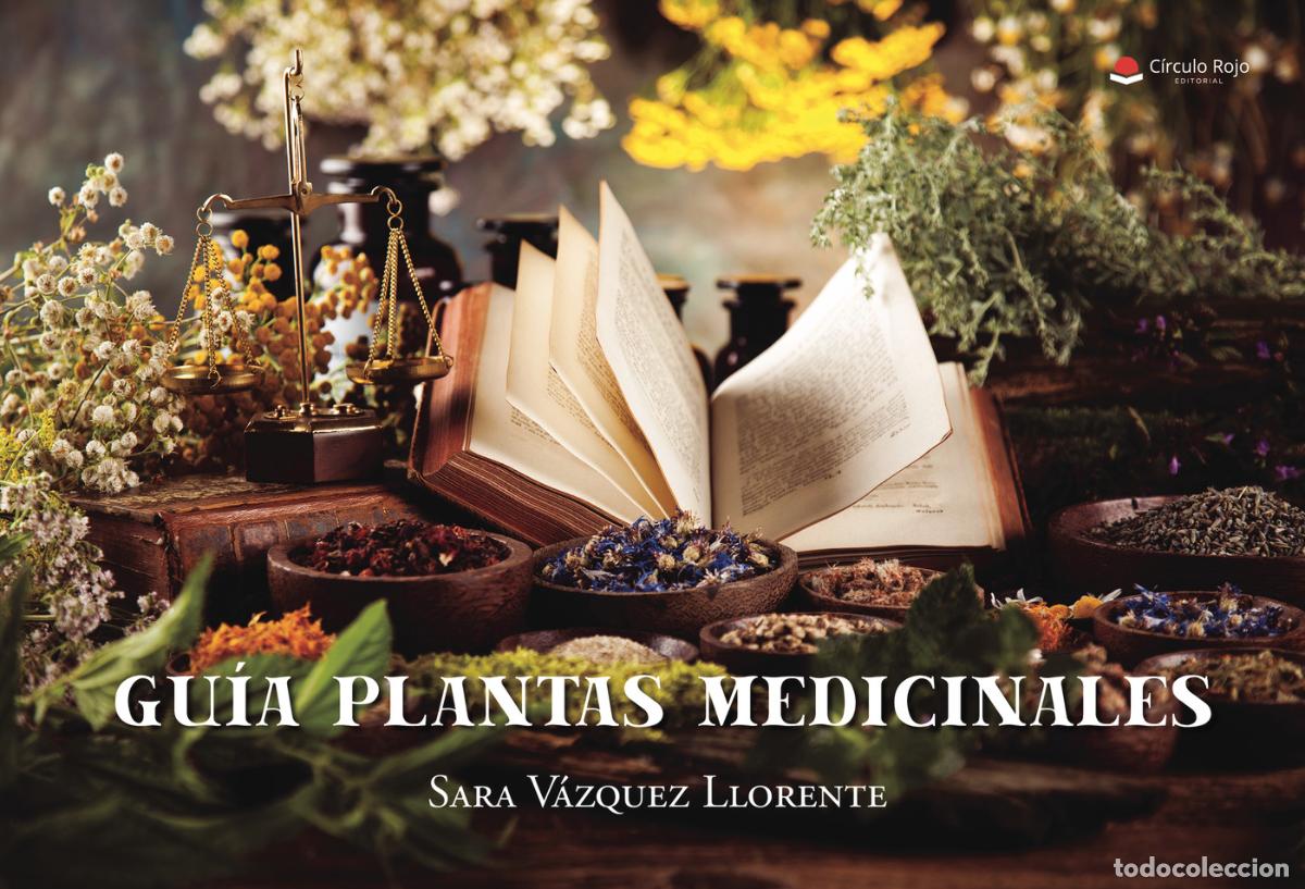 Livres: Gu&iacute;a plantas medicinales - Sara V&aacute;zquez Llorente