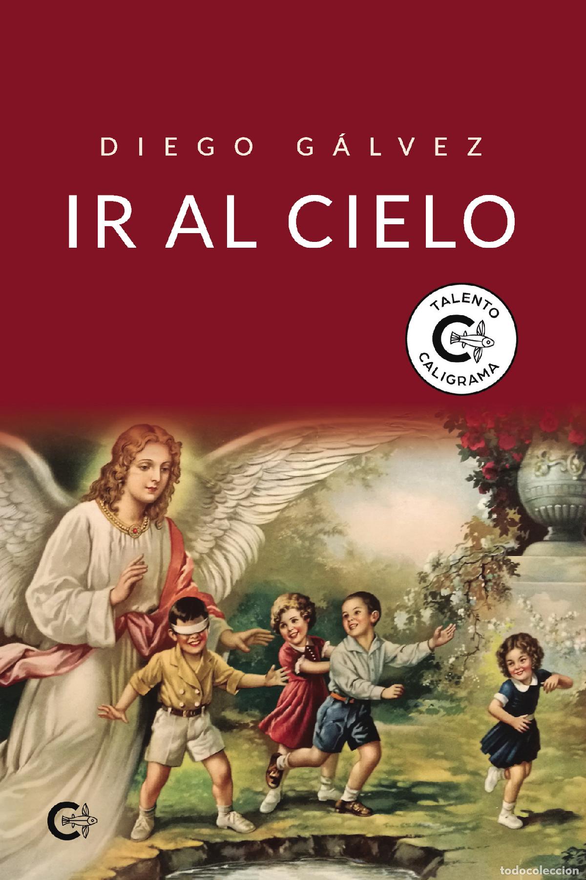 books: Ir al cielo - Diego G&aacute;lvez