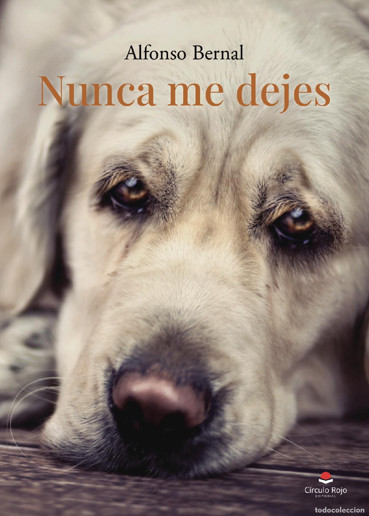 books: Nunca me dejes - Alfonso Bernal