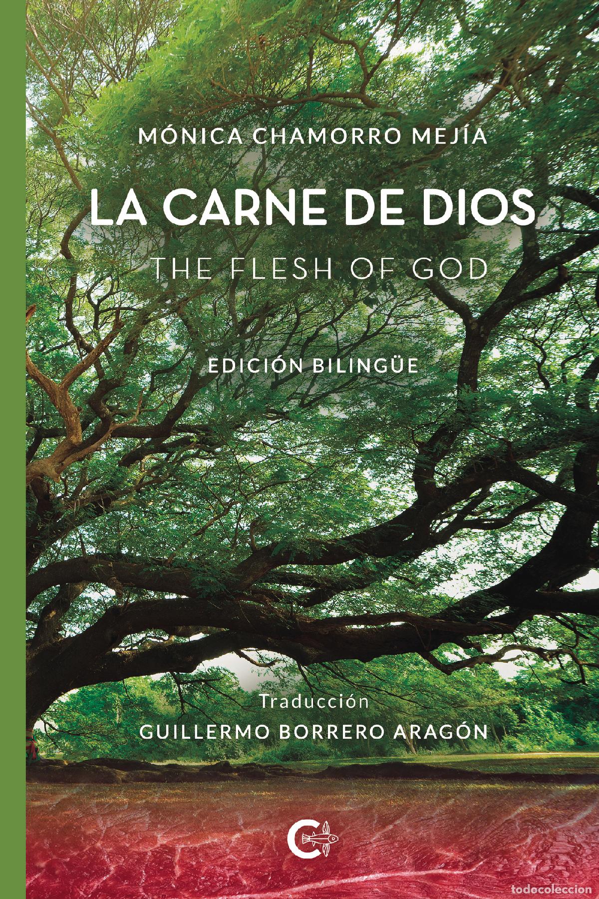 Livros: La carne de Dios - The flesh of God - M&oacute;nica Chamorro Mej&iacute;a
