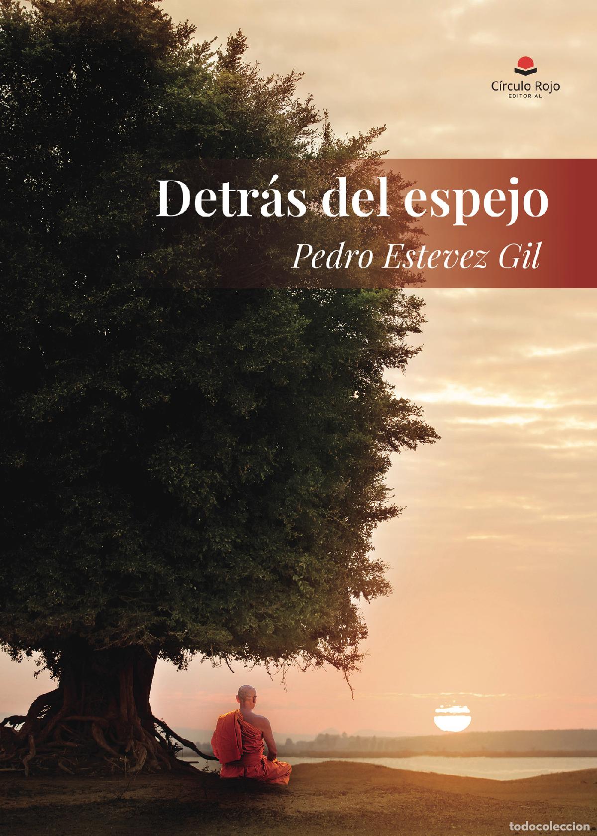 Libros: Detr&aacute;s del espejo - Pedro Estevez Gil - Foto 1
