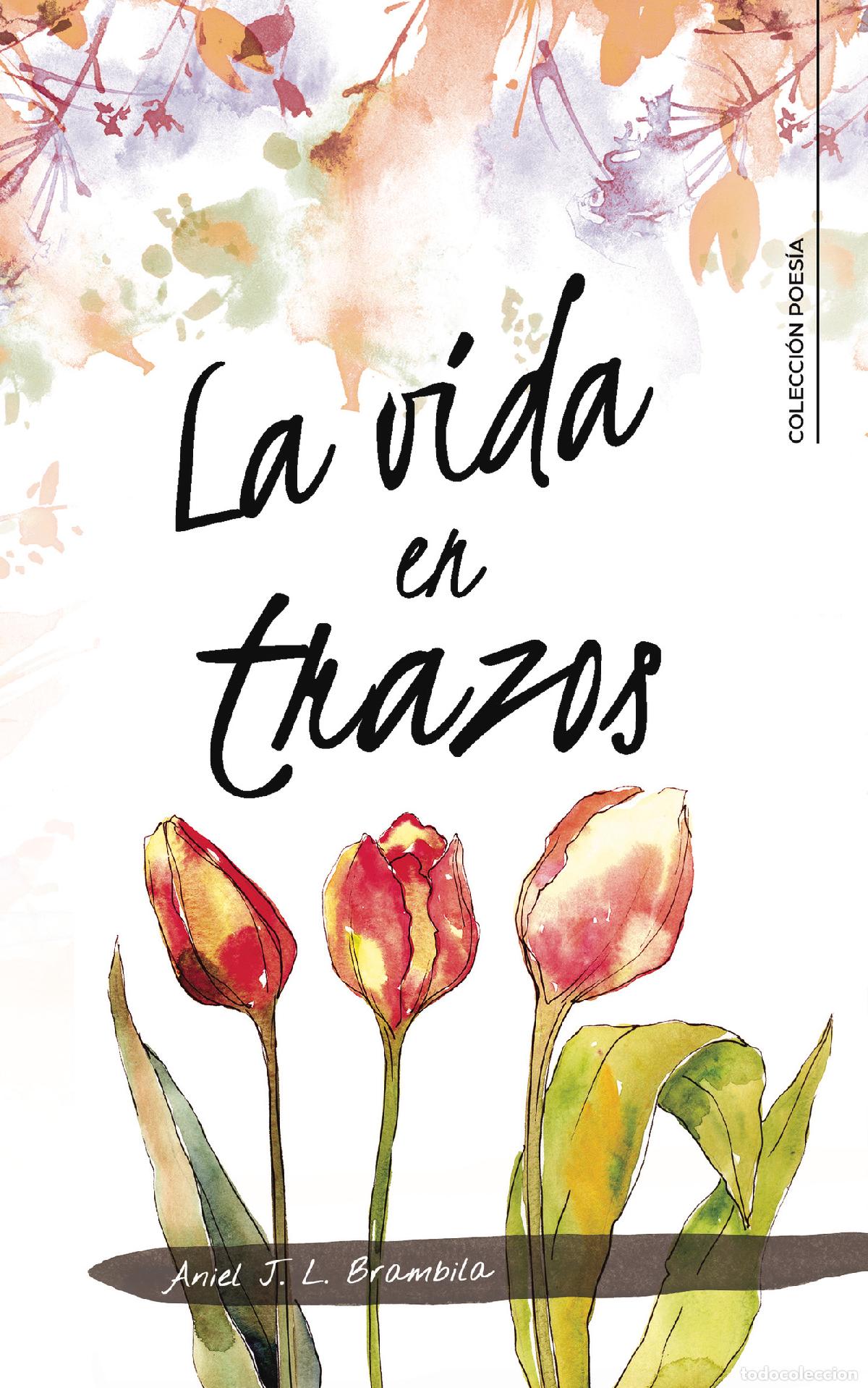 Libros: La vida en trazos - Aniel J. L. Brambila - Foto 1
