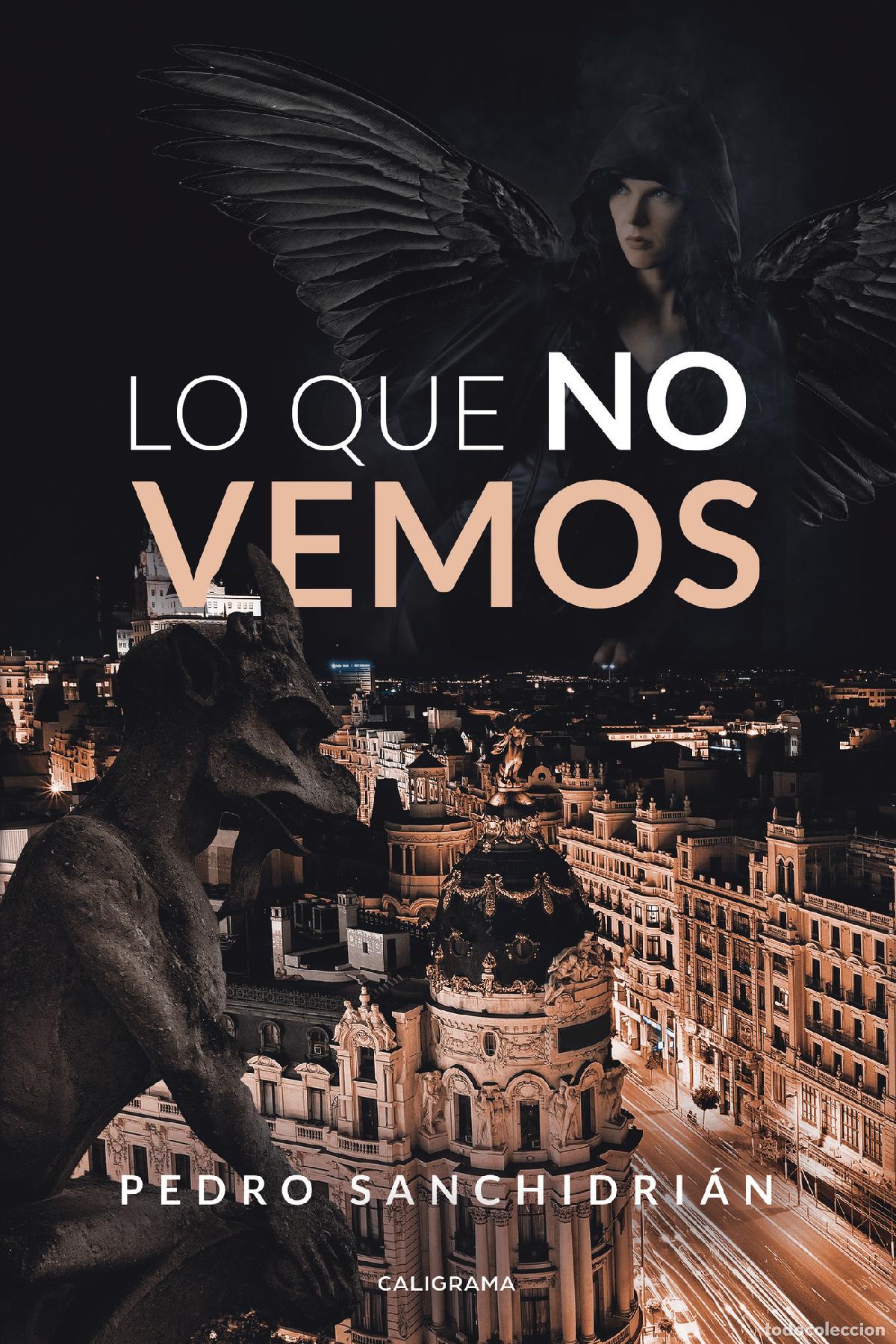 Libros: Lo que no vemos - Pedro Sanchidri&aacute;n - Foto 1