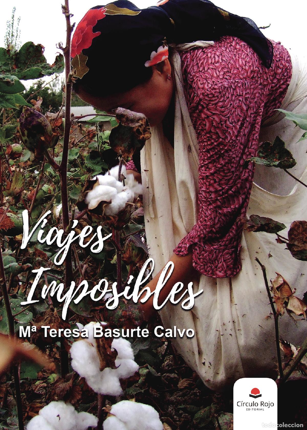 Libri: Viajes imposibles - M&ordf; Teresa Basurte Calvo