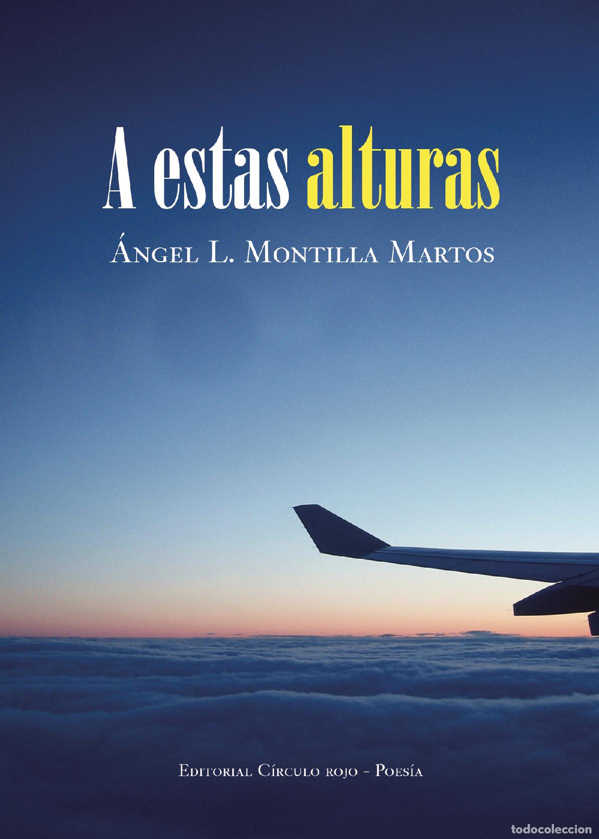 books: A estas alturas - &Aacute;ngel L. Montilla Martos