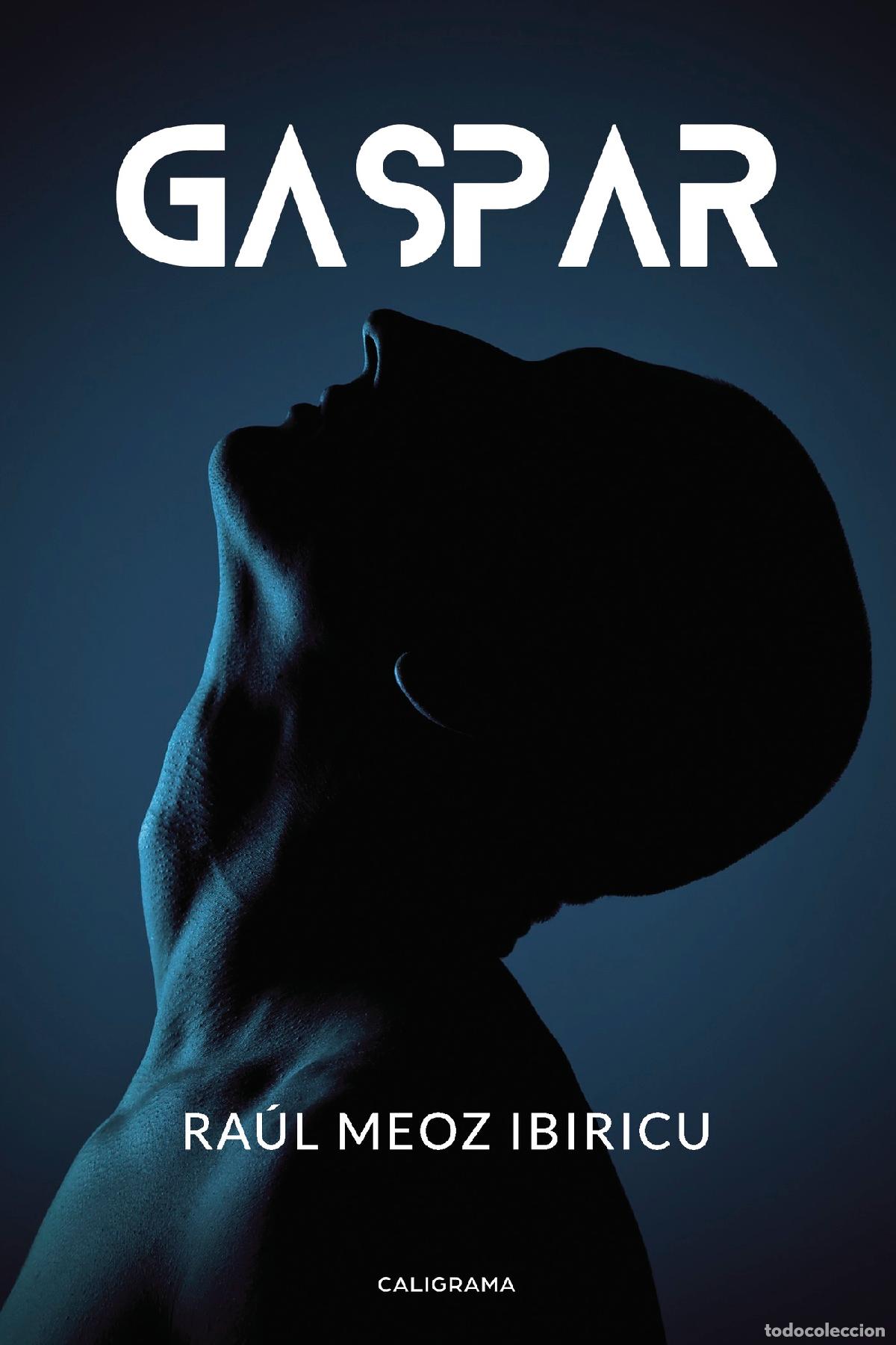 Libros: Gaspar - Ra&uacute;l Meoz Ibiricu - Foto 1
