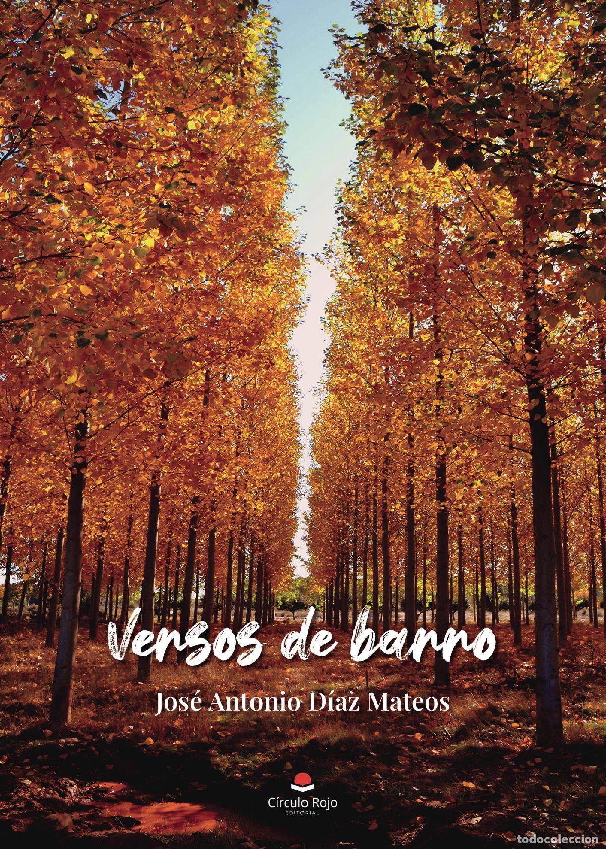 books: Versos de barro - Jos&eacute; Antonio D&iacute;az Mateos