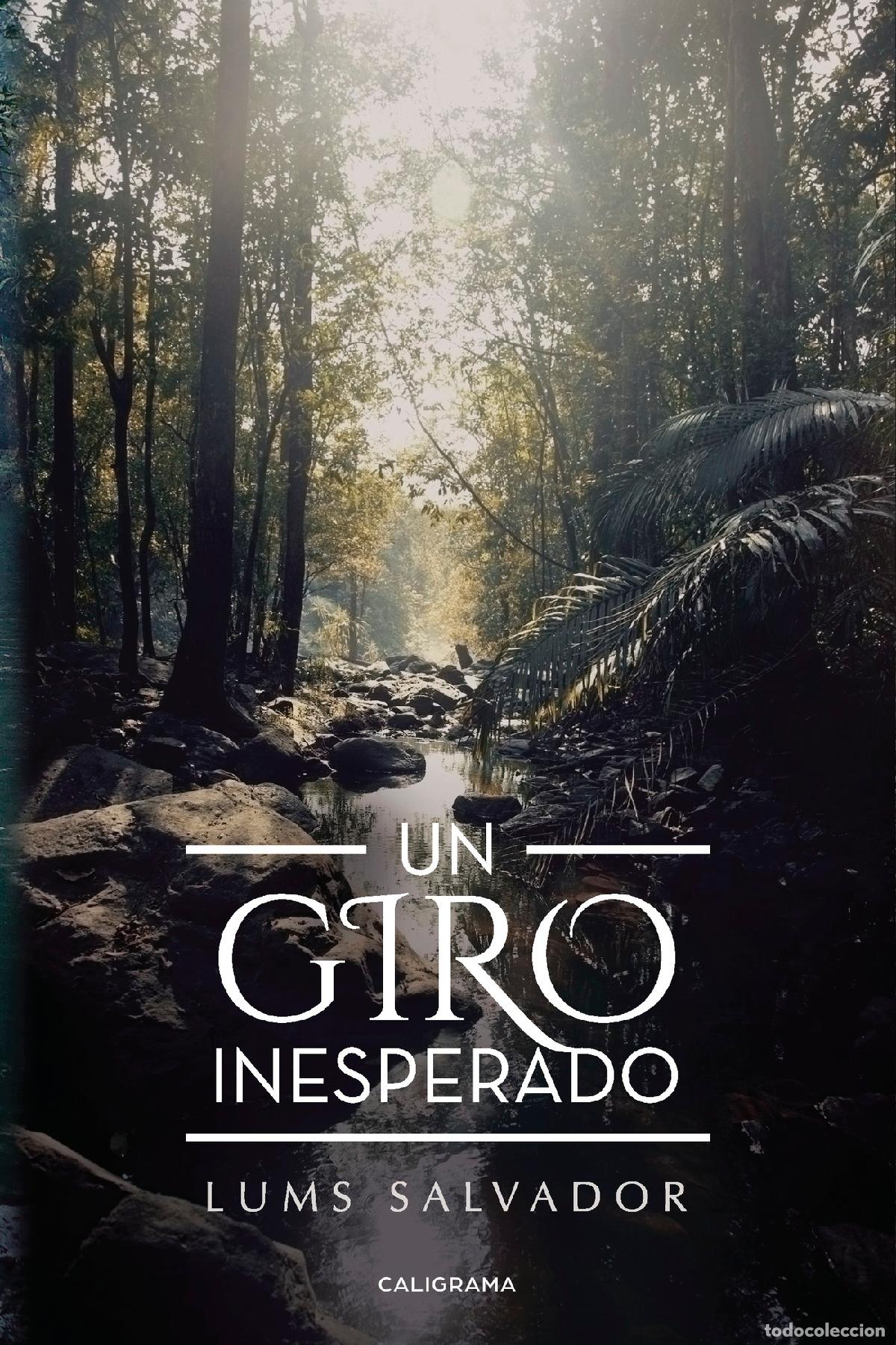 Livros: Un giro inesperado - Lums Salvador