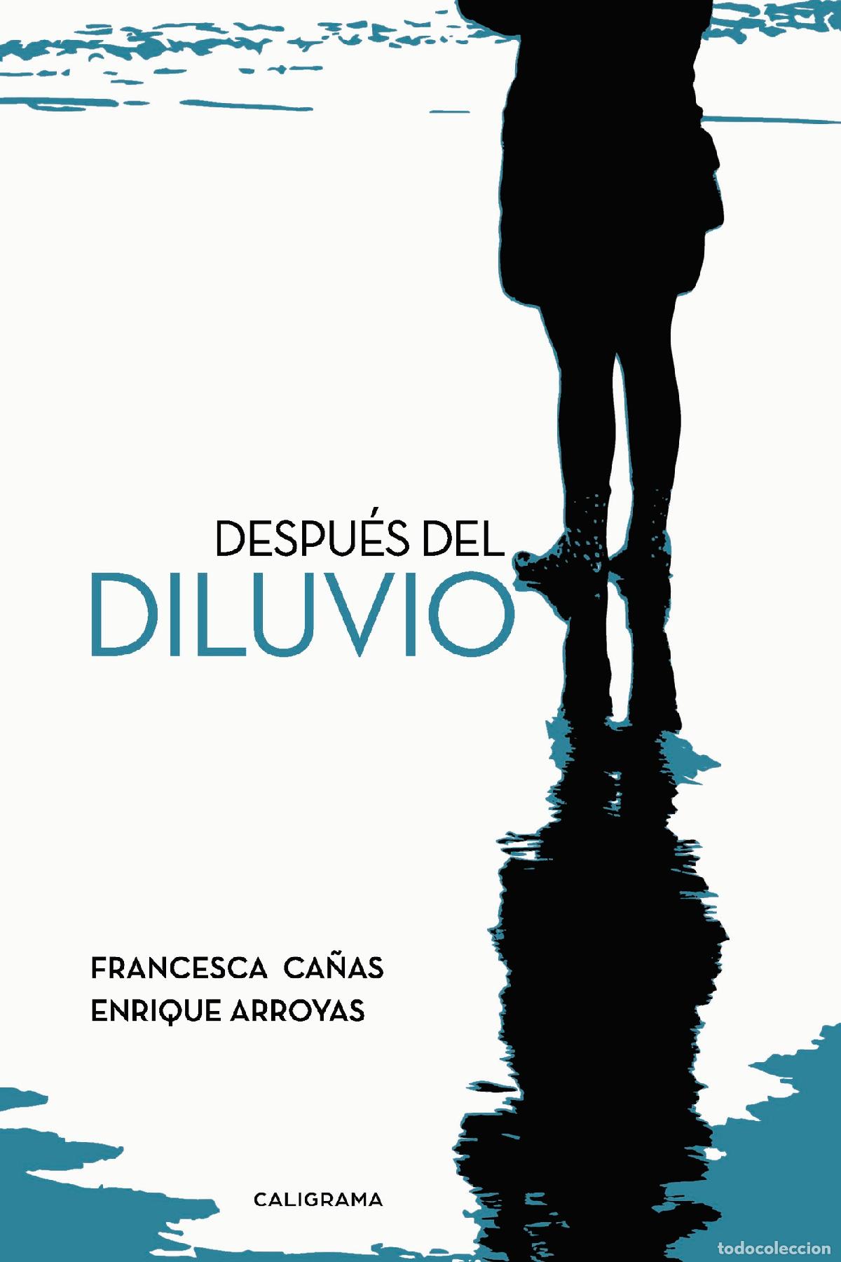 Libros: Despu&eacute;s del diluvio - Francesca Ca&ntilde;as - Foto 1