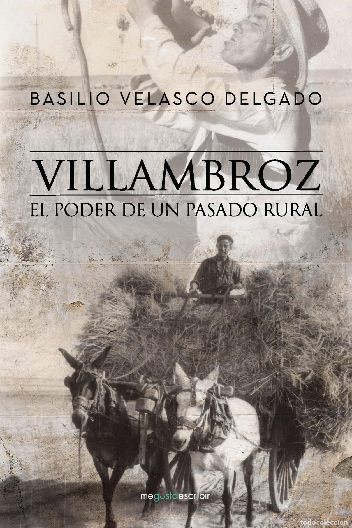 books: Villambroz - El poder de un pasado rural - Basilio Velasco Delgado