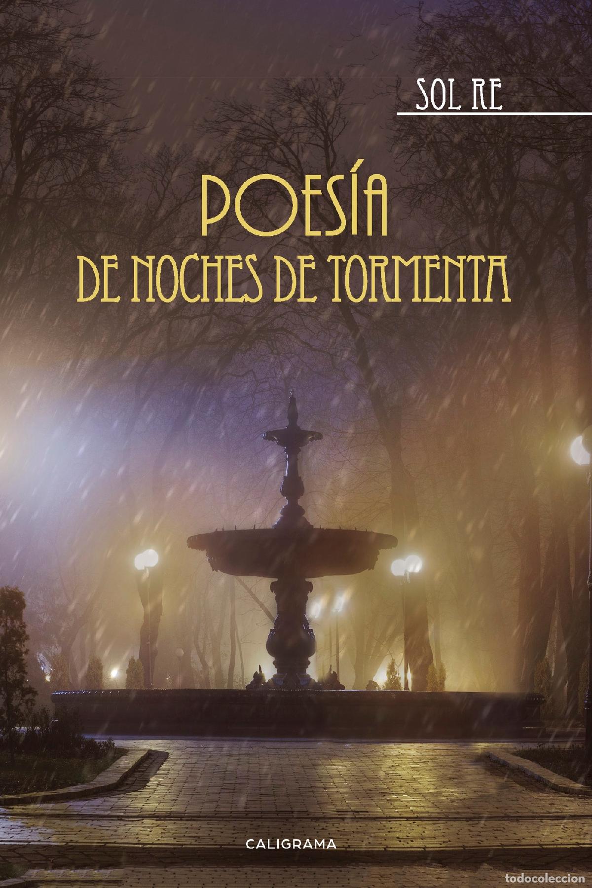 Libros: Poes&iacute;a de noches de tormenta - Sol RE