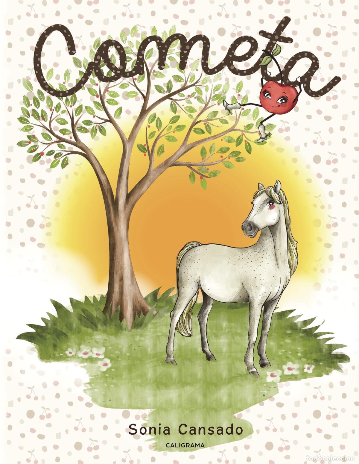 Libros: Cometa - Sonia Cansado - Foto 1