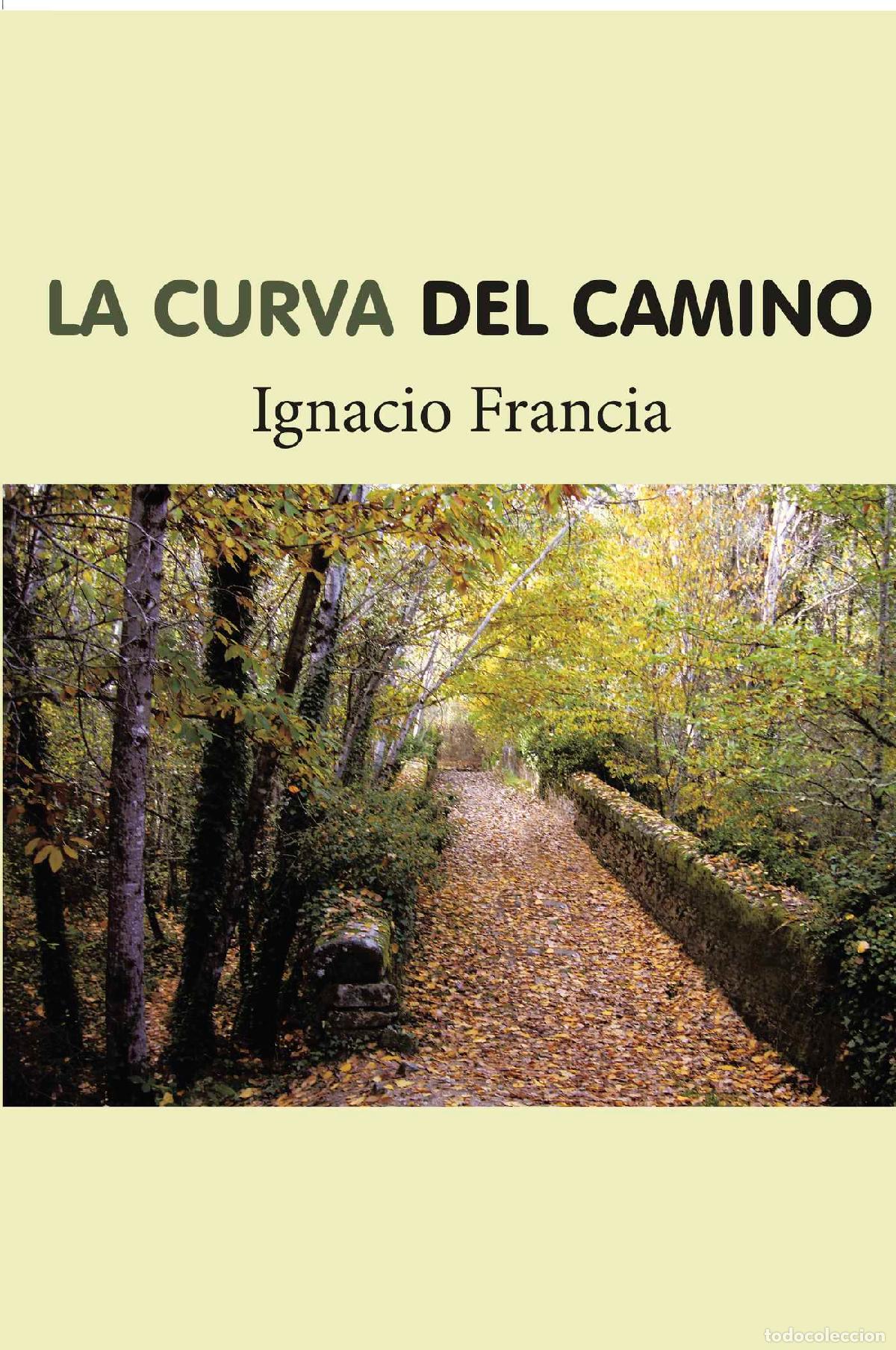 Libros: La curva del camino - Ignacio Francia - Foto 1