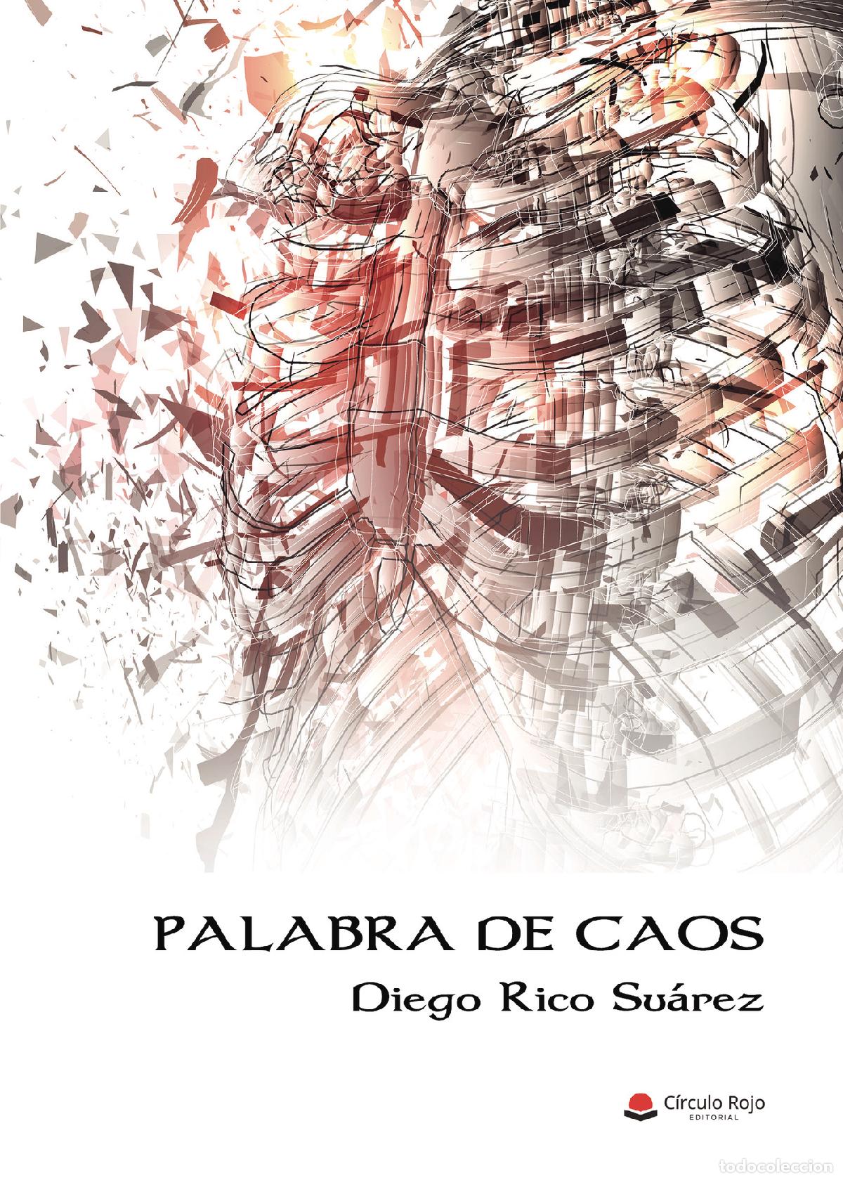Libros: Palabra de caos - Diego Rico Su&aacute;rez - Foto 1